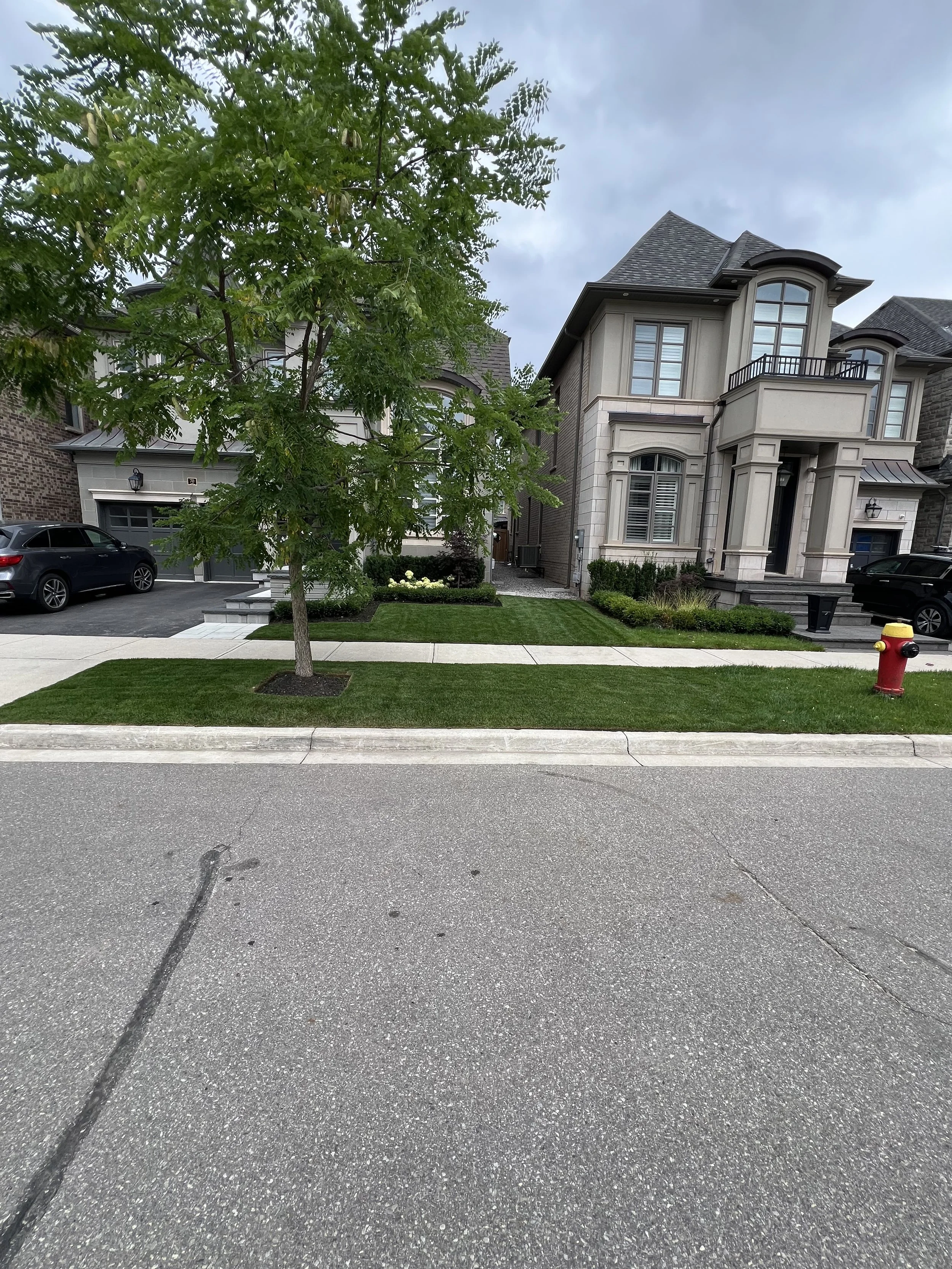 A modern multi-story house with a landscaped lawn, a tree, parked cars, a fire hydrant, and cloudy sky.
