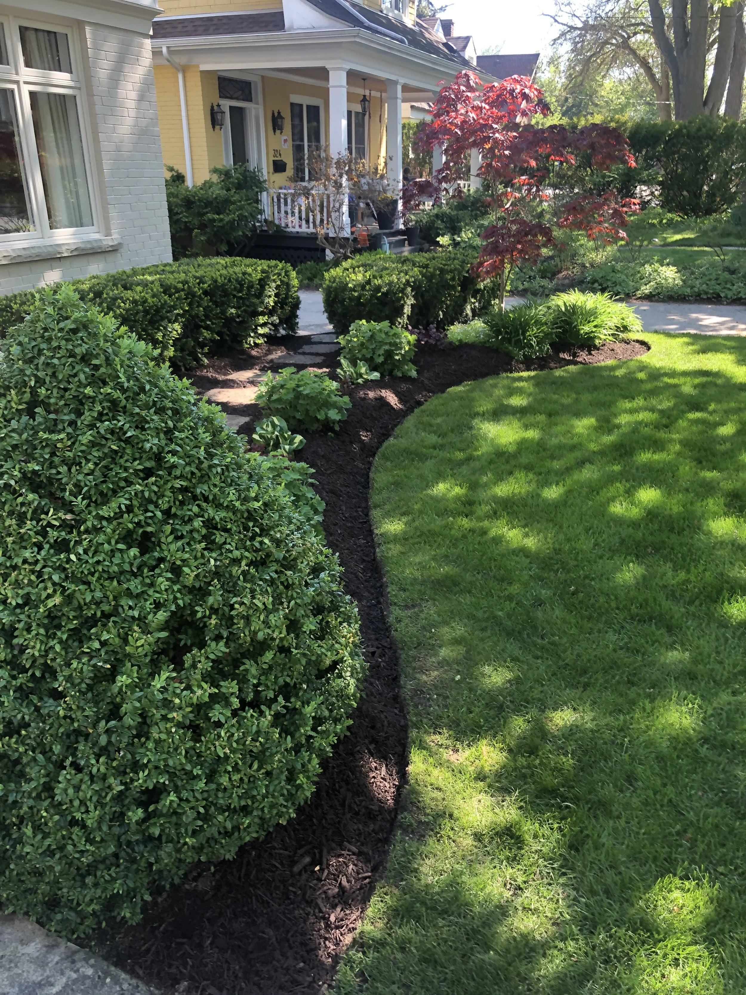 A well-maintained front yard featuring neatly trimmed bushes, a layer of fresh mulch, a small tree with red leaves, lush green grass, and a sidewalk leading to the house's porch.