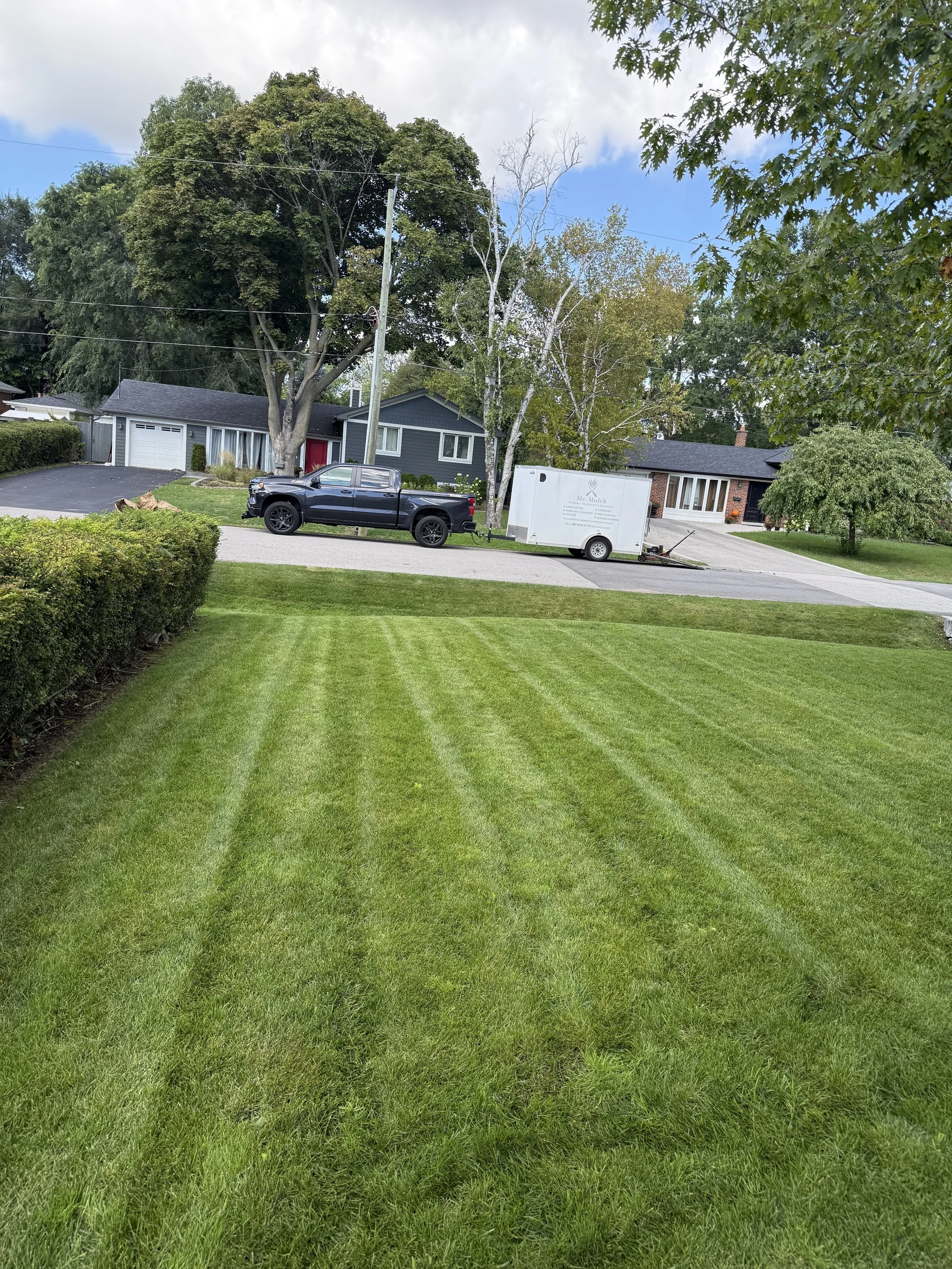 A well-maintained green lawn with striped grass, bordered by bushes on the left, and houses across the street with a parked pickup truck and trailer.