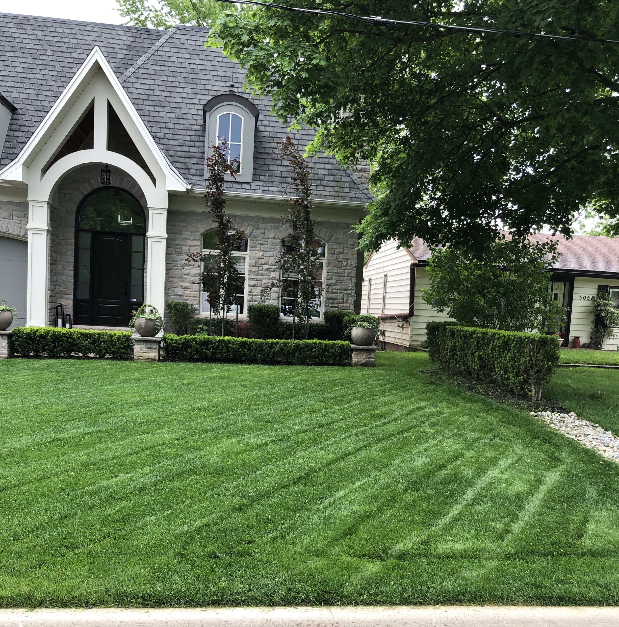 Front yard and house with manicured lawn, stone and siding exterior, arched windows, and large trees