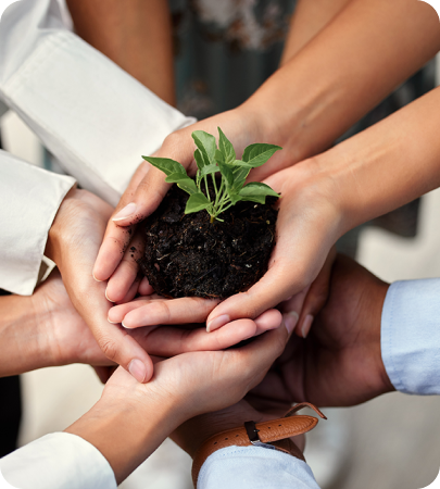 Multiple hands holding a small plant with soil, symbolizing growth and teamwork.