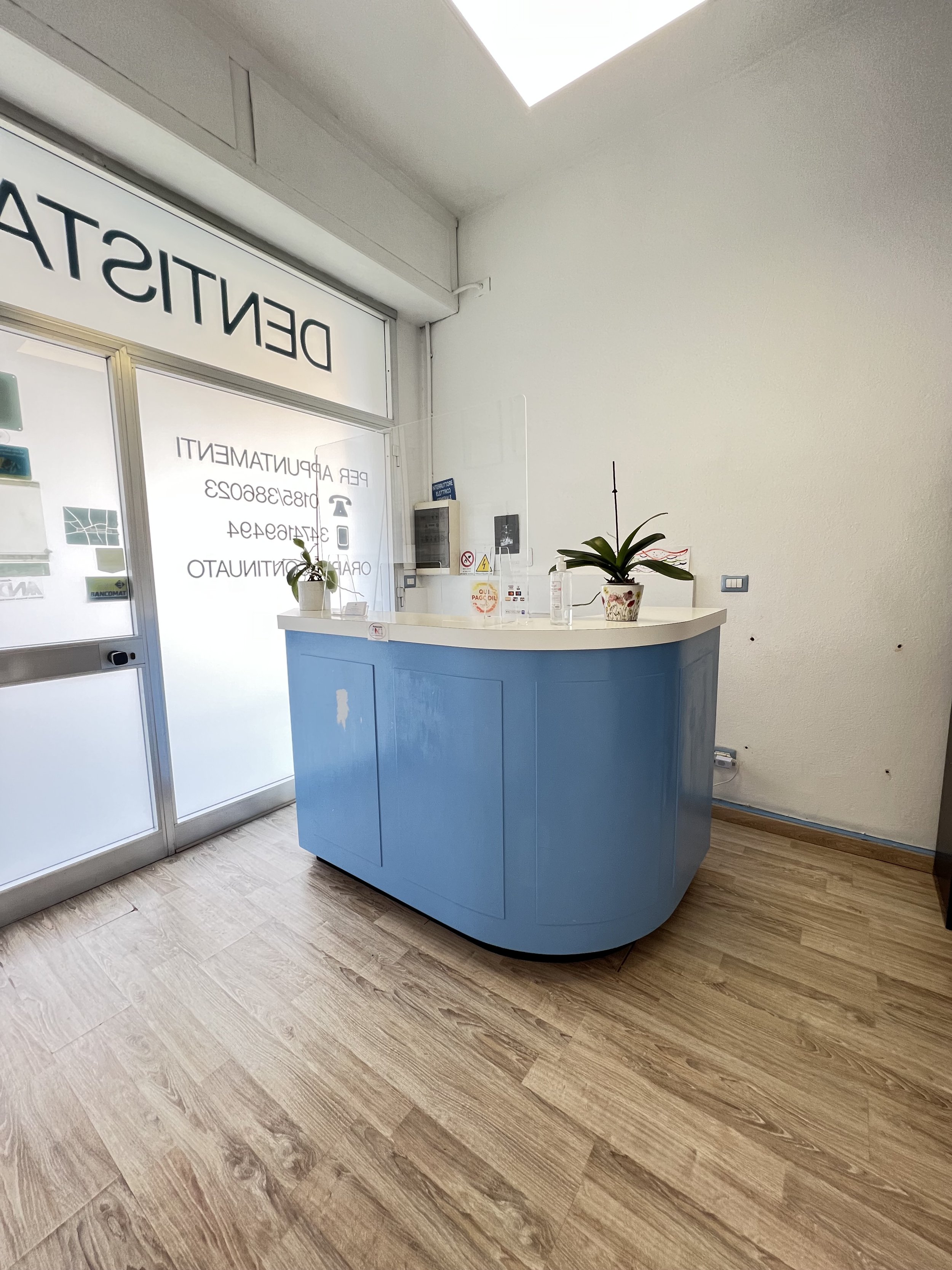 Reception desk with two potted plants inside an office or clinic, with a glass door and frosted windows in the background.