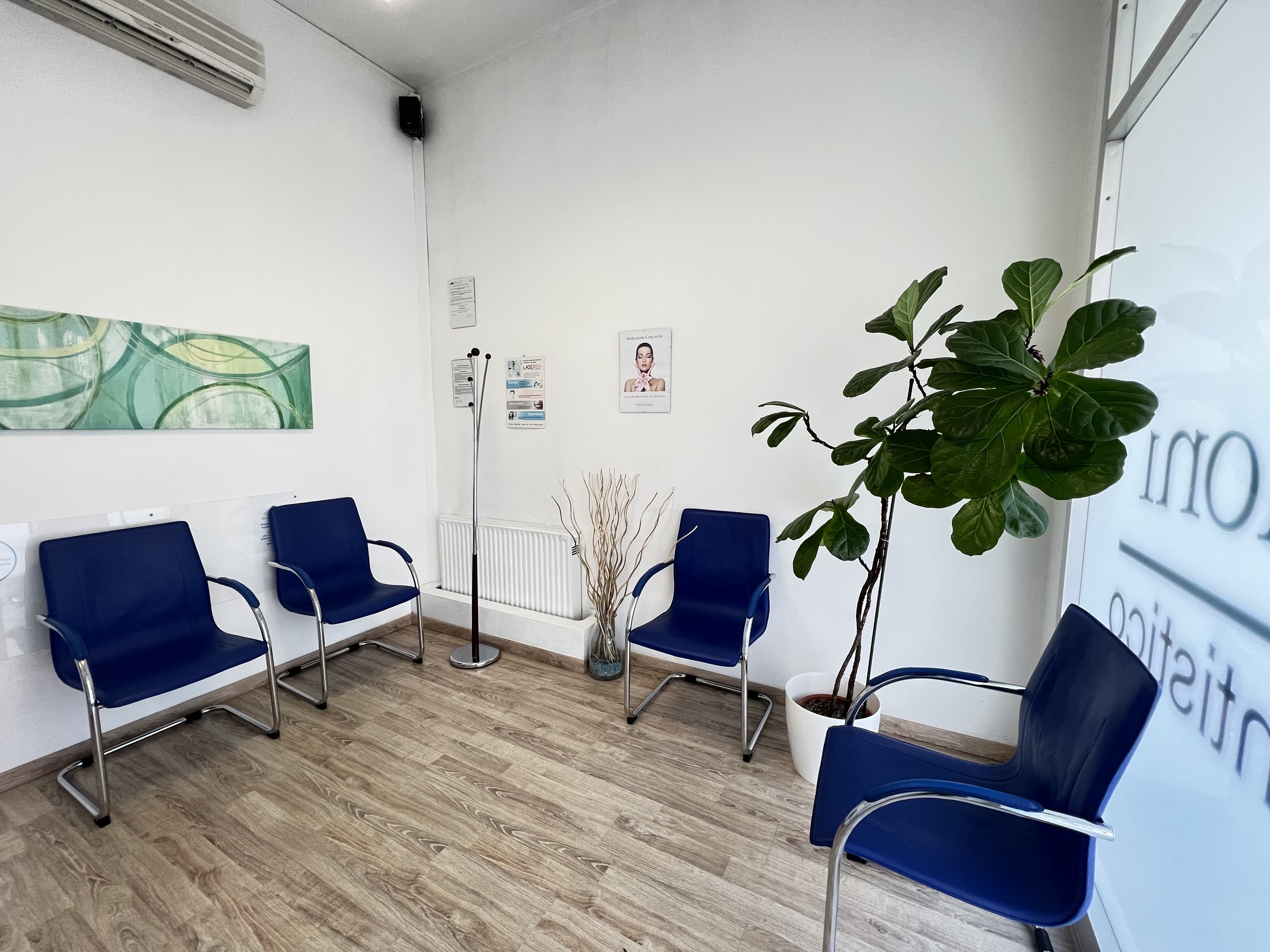 Sala d'attesa con quattro sedie blu con braccioli, una grande pianta verde in una pianta bianca, decorazioni sulle pareti e una finestra con scritte trasparenti.