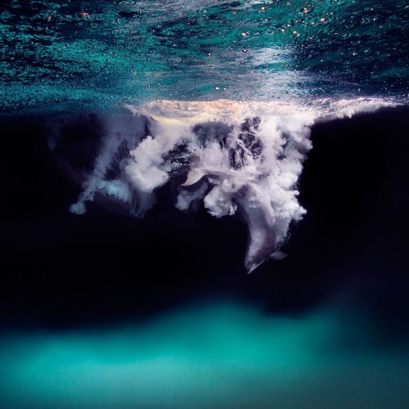 Dolfijn onder water met sprong en lichtstralen.