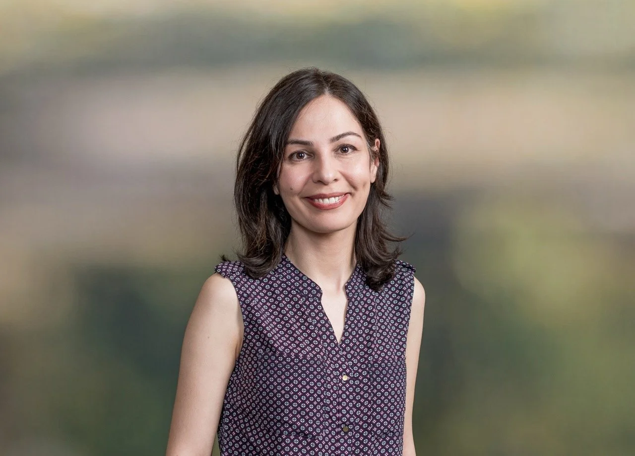 Azin Shahab, Senior Power Systems Engineer, Revamp Engineering