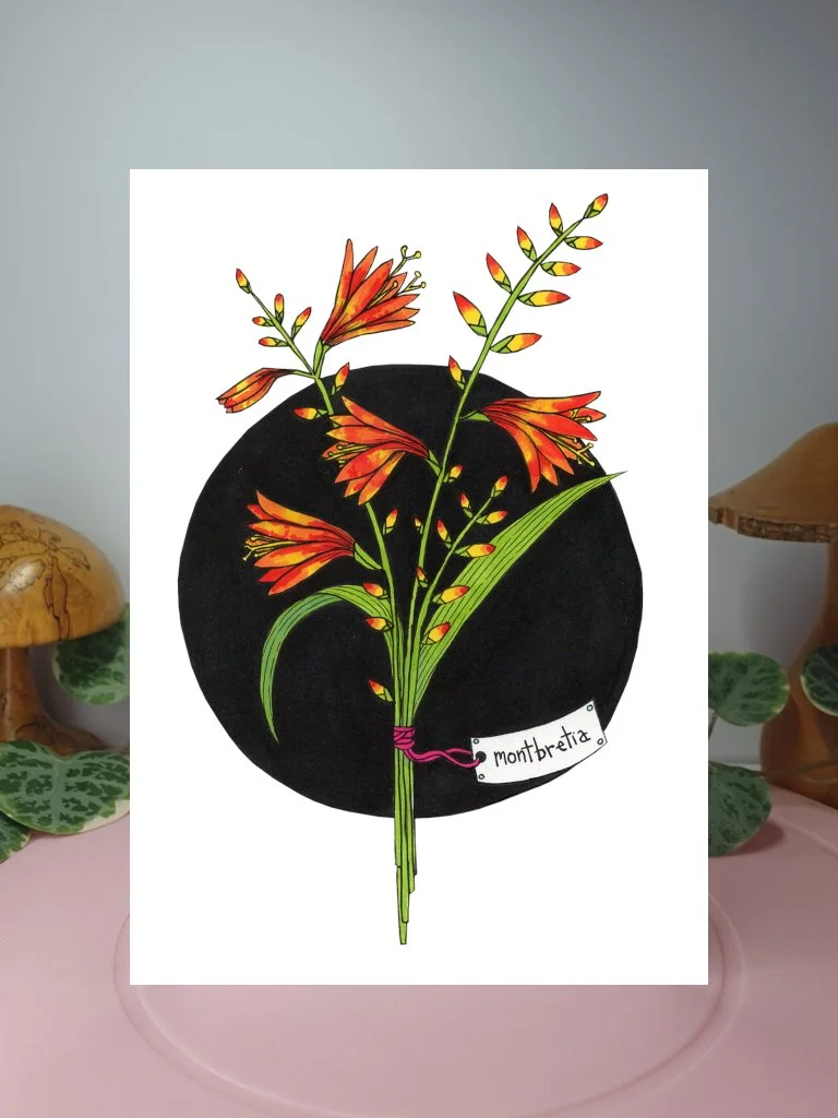 Montbretia A6 greeting card