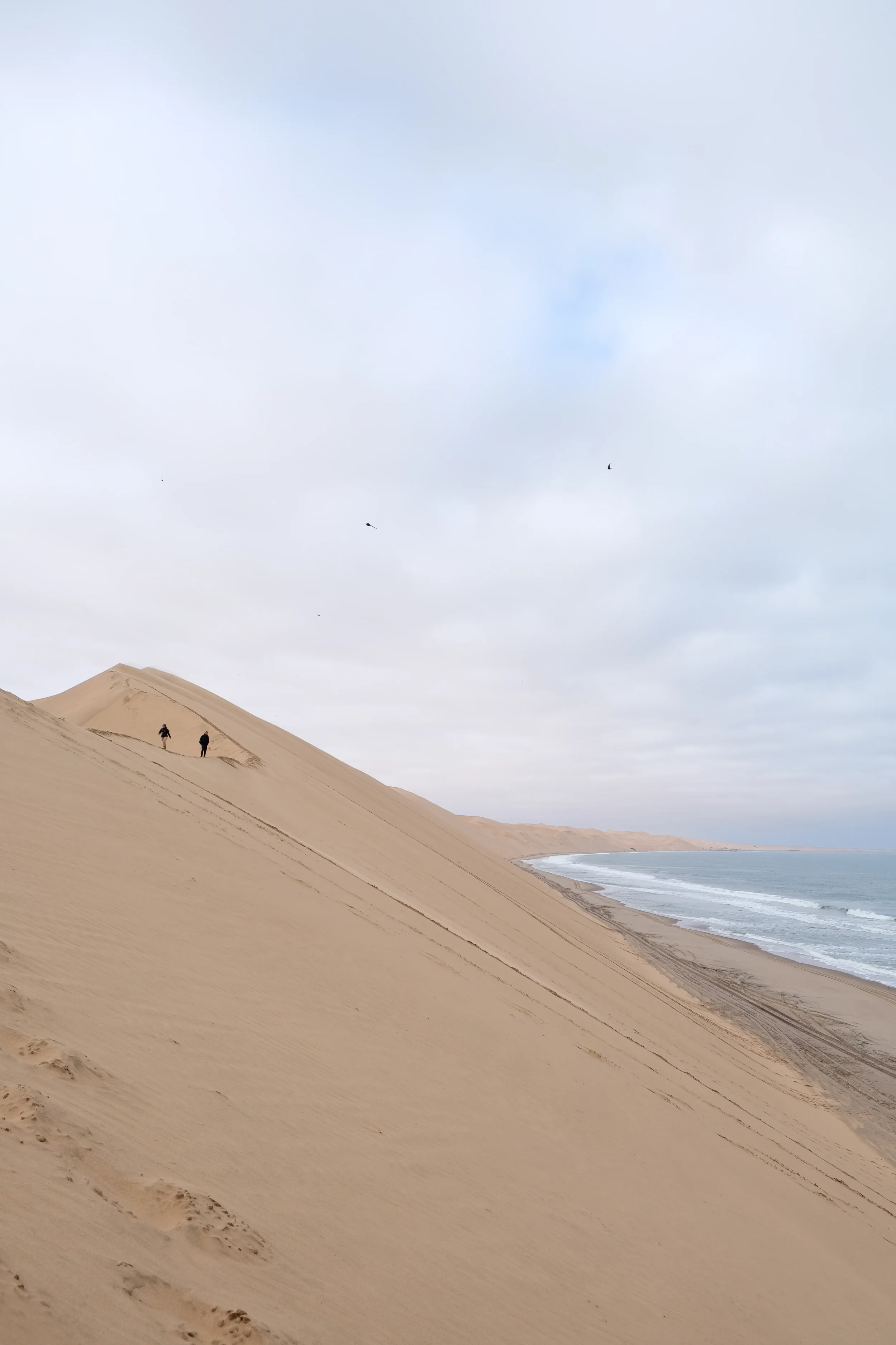 Sandwich harbour dune hike