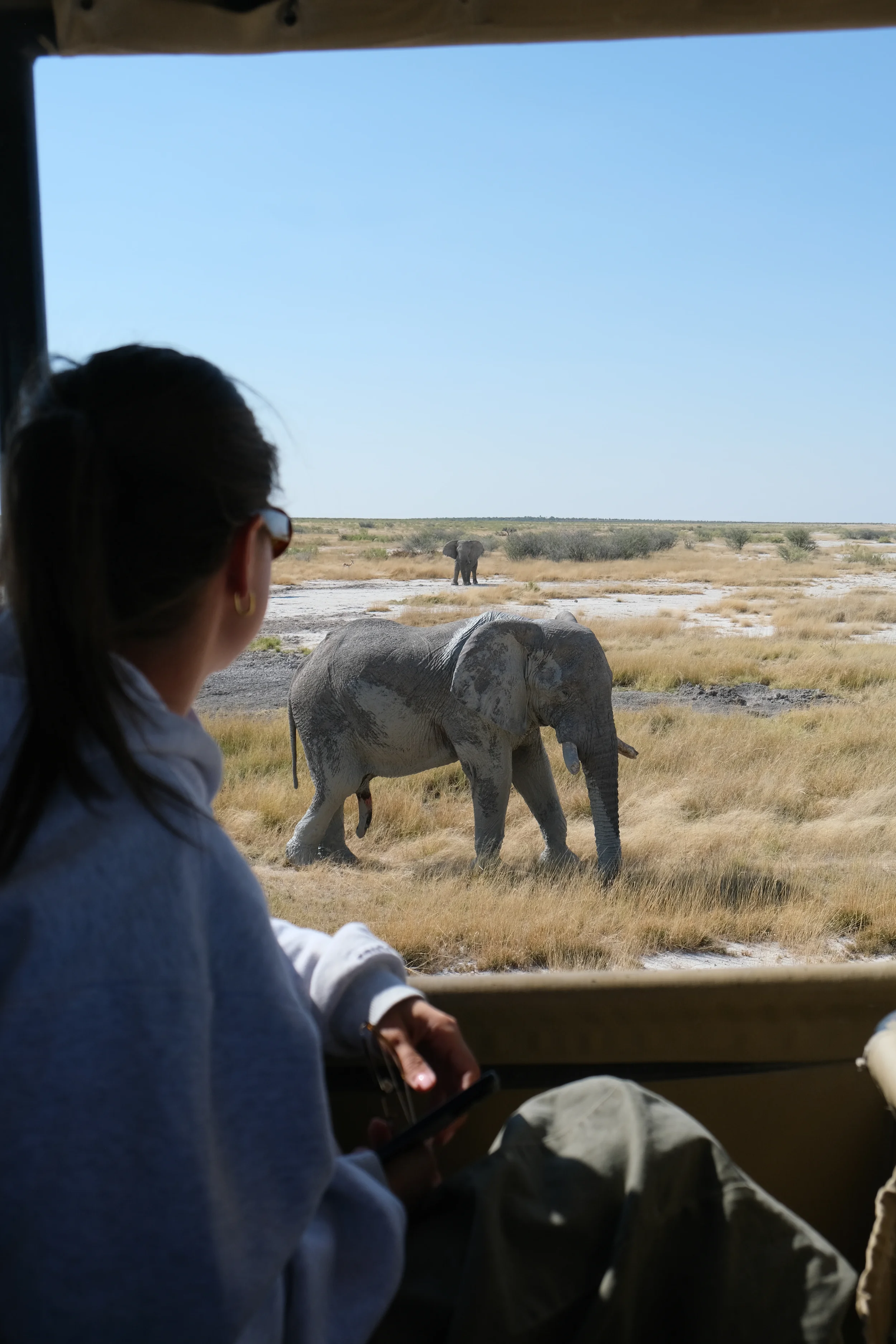 Close to elephants in Etosha