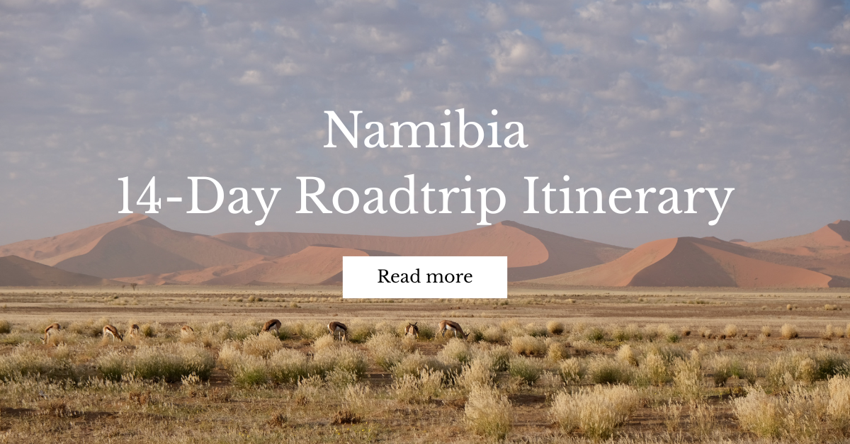 14-Day Namibia Road Trip Itinerary: Desert, Coast &amp; Wildlife