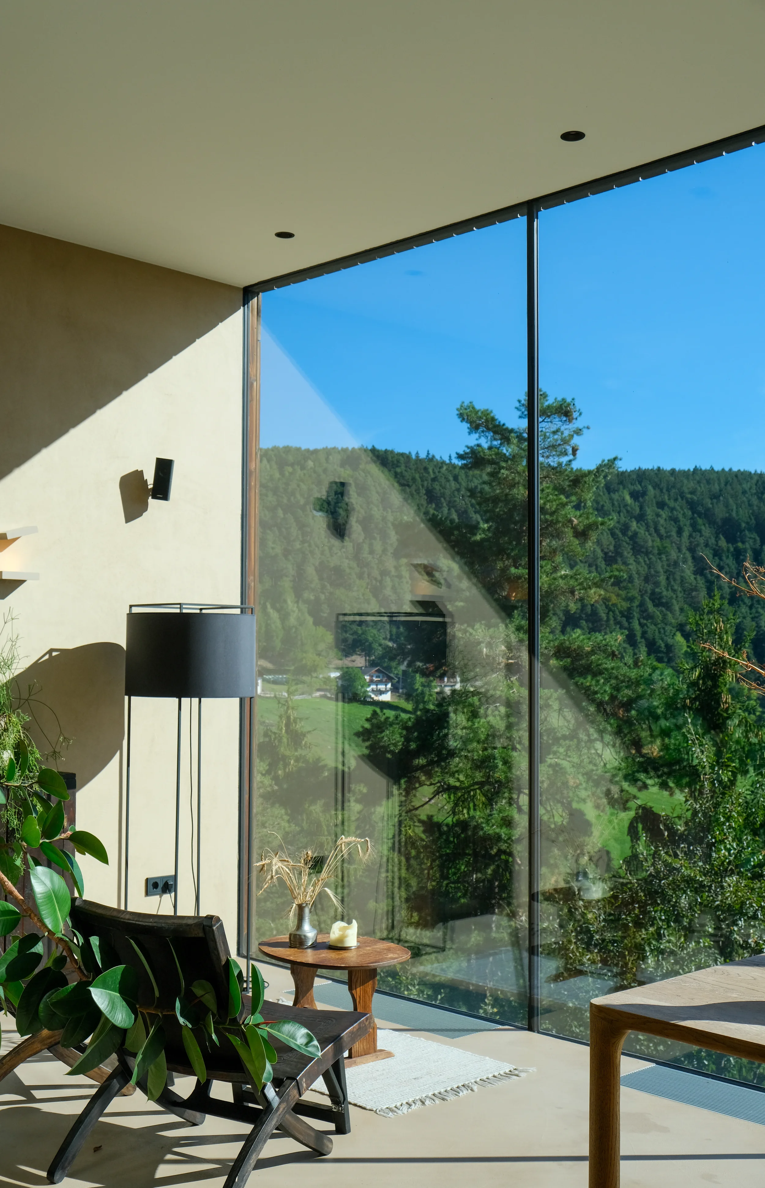 Forest view from Saltus Hotel lobby