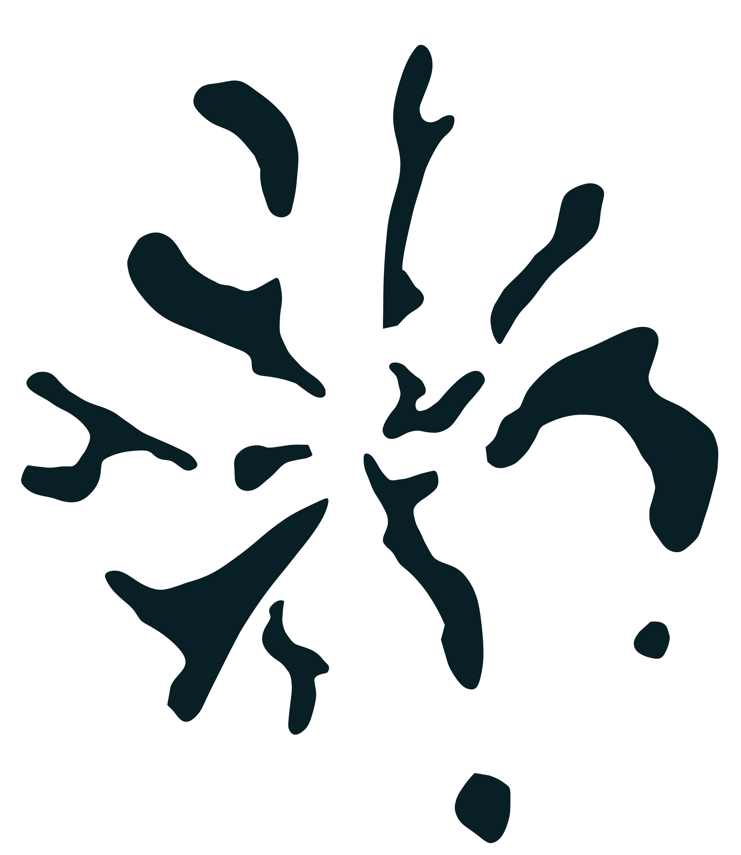 Abstract dark teal silhouette of a coral or seaweed on a white background.