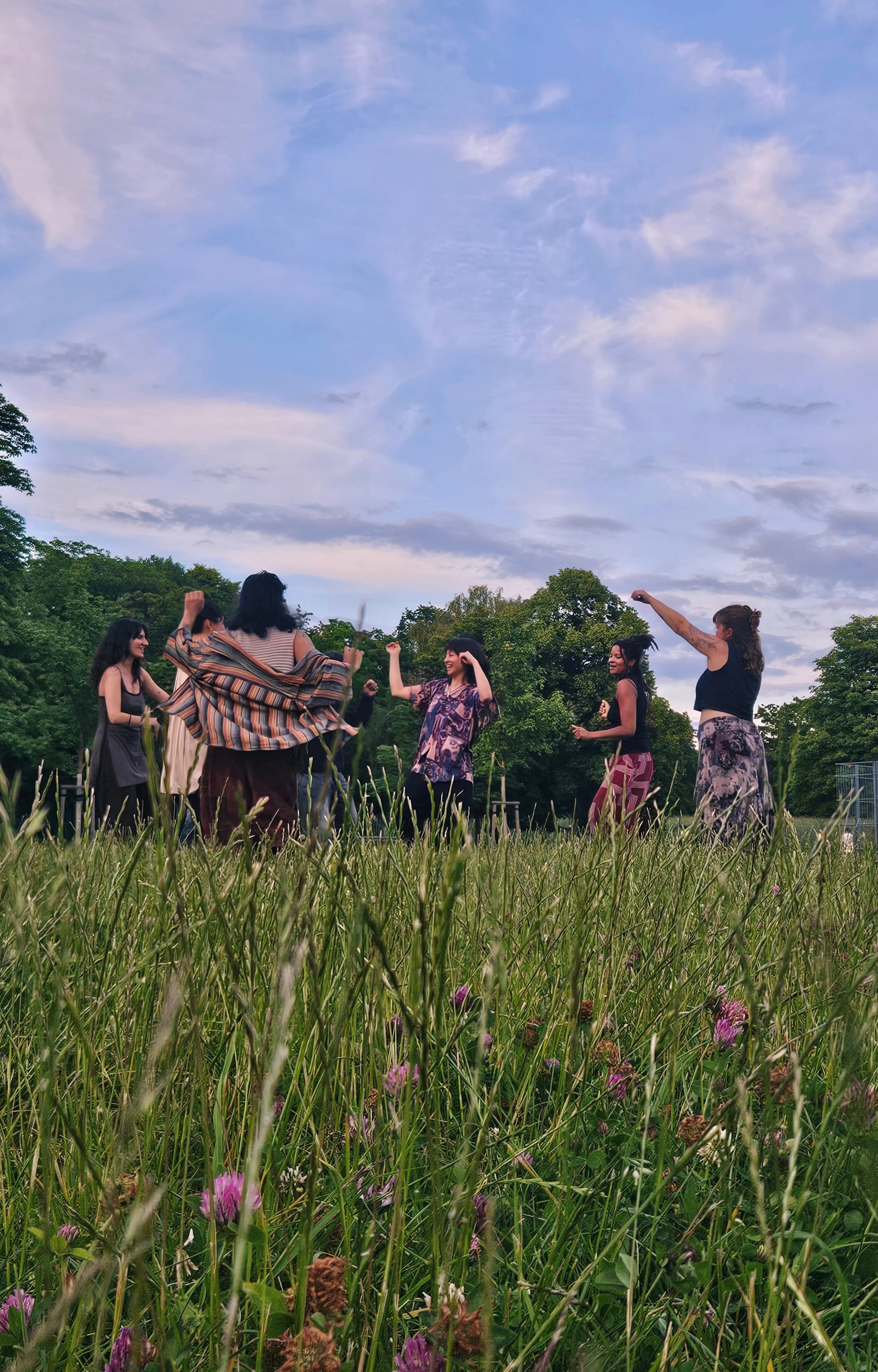 A group of six people standing in a grassy field, dancing and celebrating under a blue sky with scattered clouds, surrounded by trees.