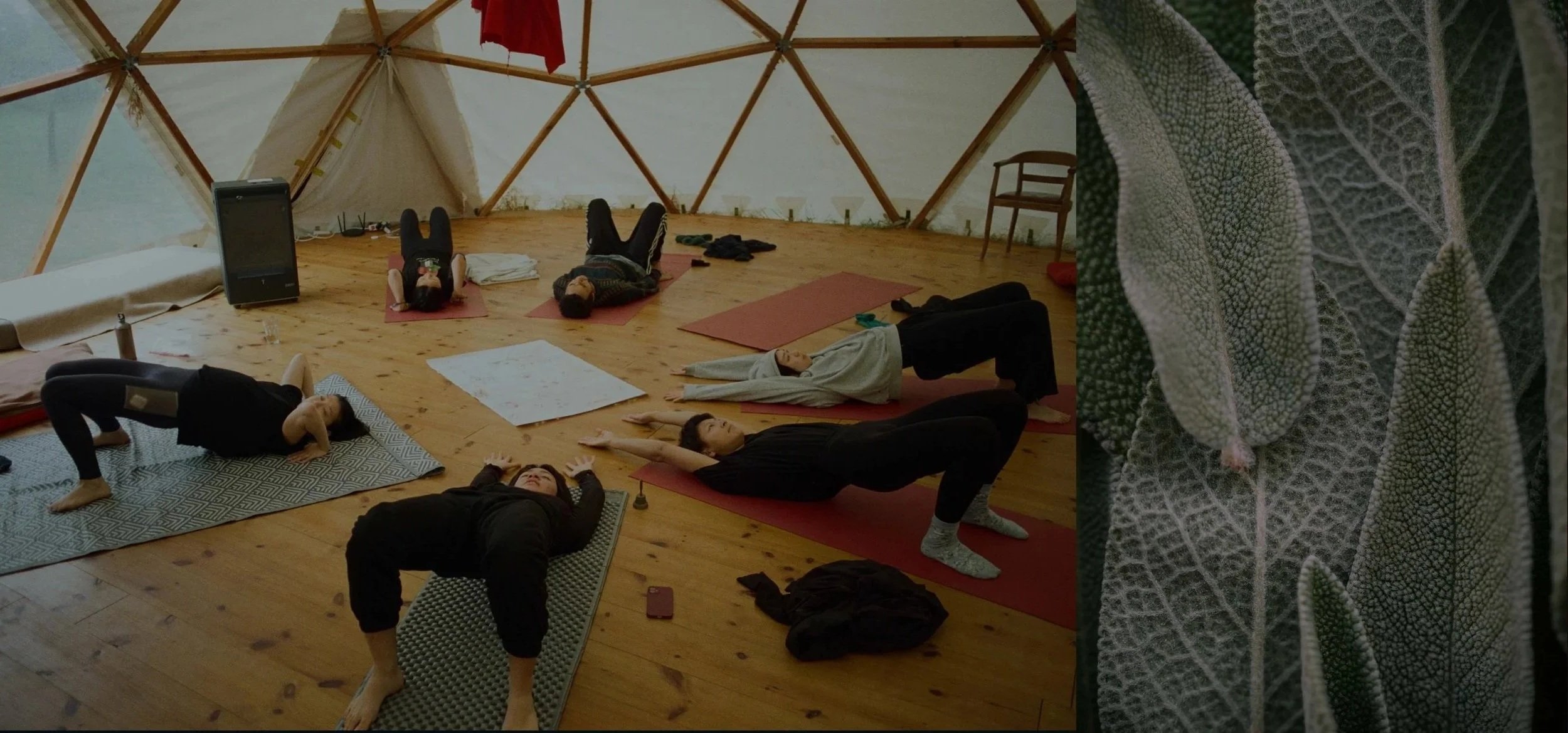 People practicing yoga in a dome-shaped wooden structure with their eyes closed, on yoga mats, in various poses.