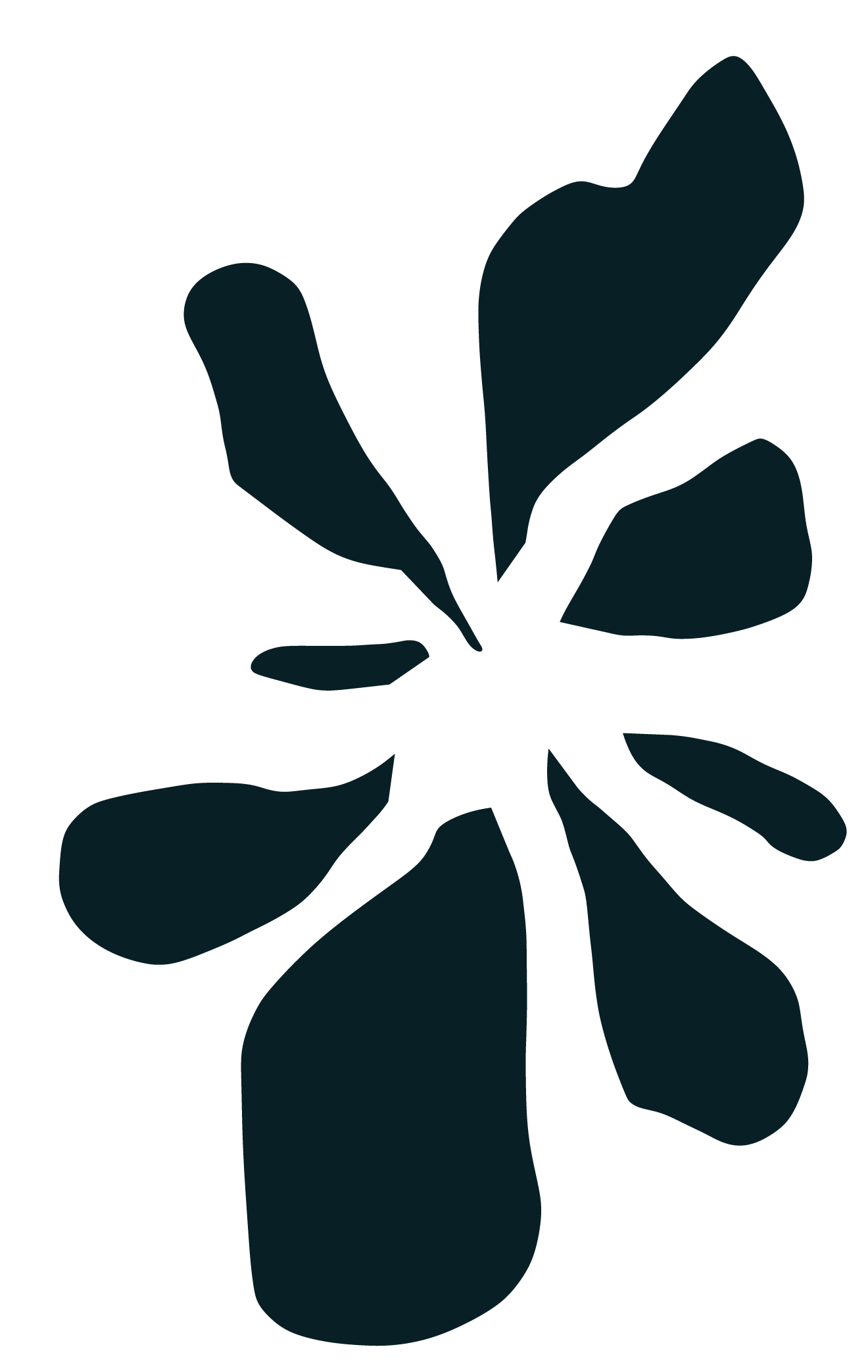 Silhouette of a large flower with broad petals on a black background.
