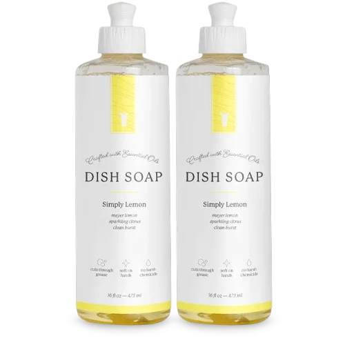 Dish Soap - 1 Bottle
