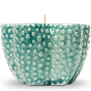 Starfish Glimmer Candle