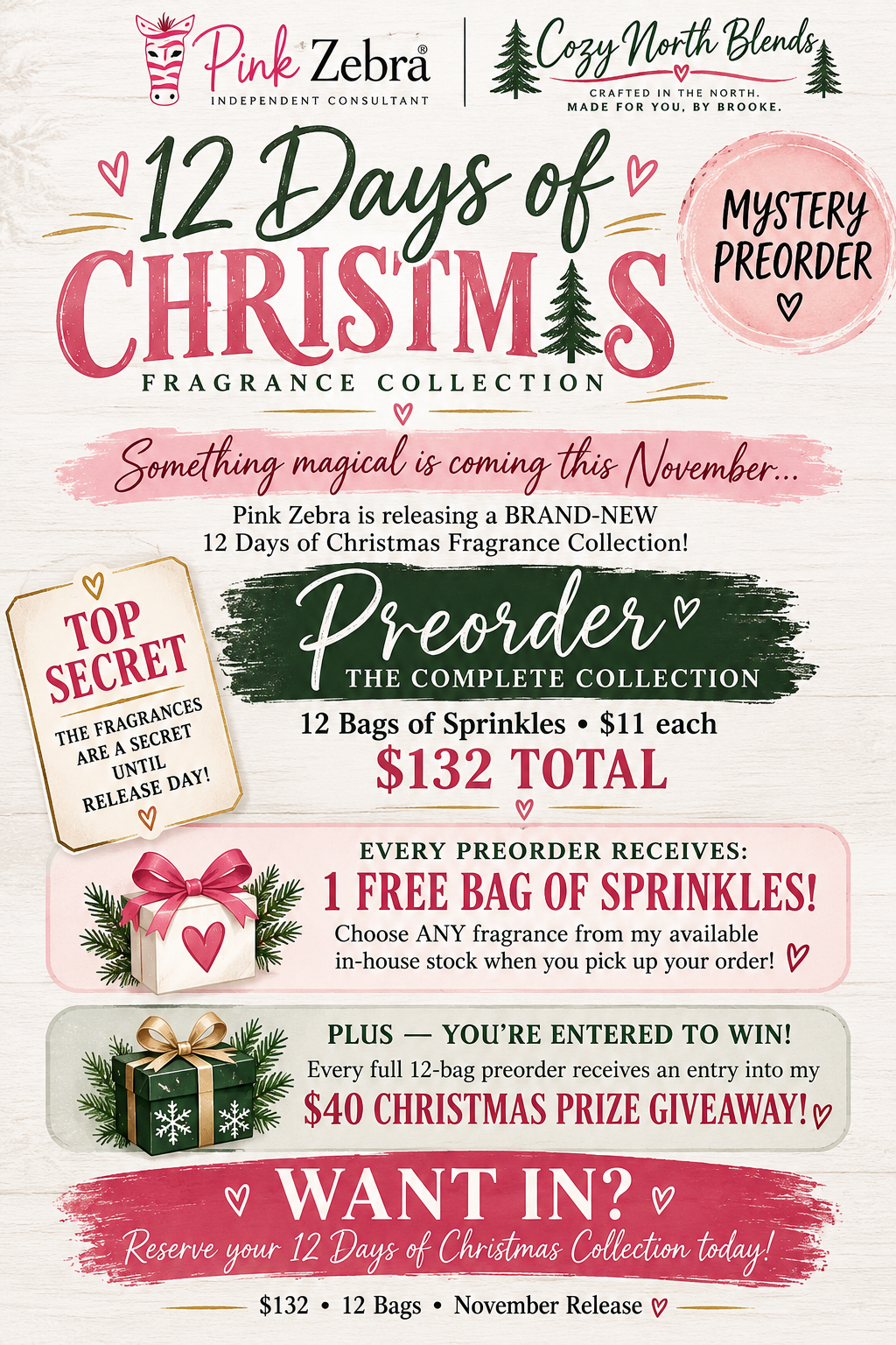 12 Days of Christmas Preorder.png