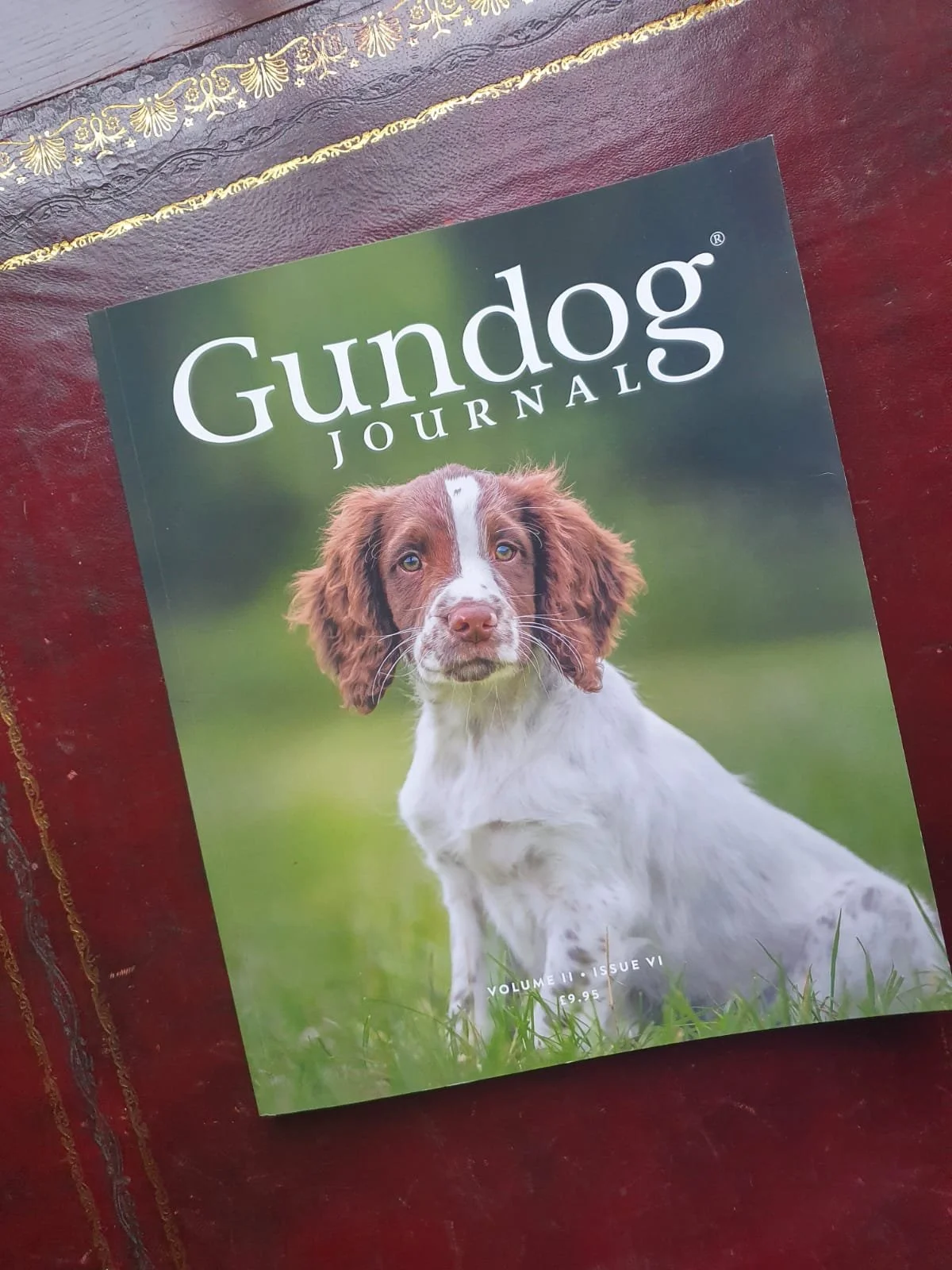 kelly-usher-tyers-blog-ladies-in-the-field-mag-gundog-journal.jpg