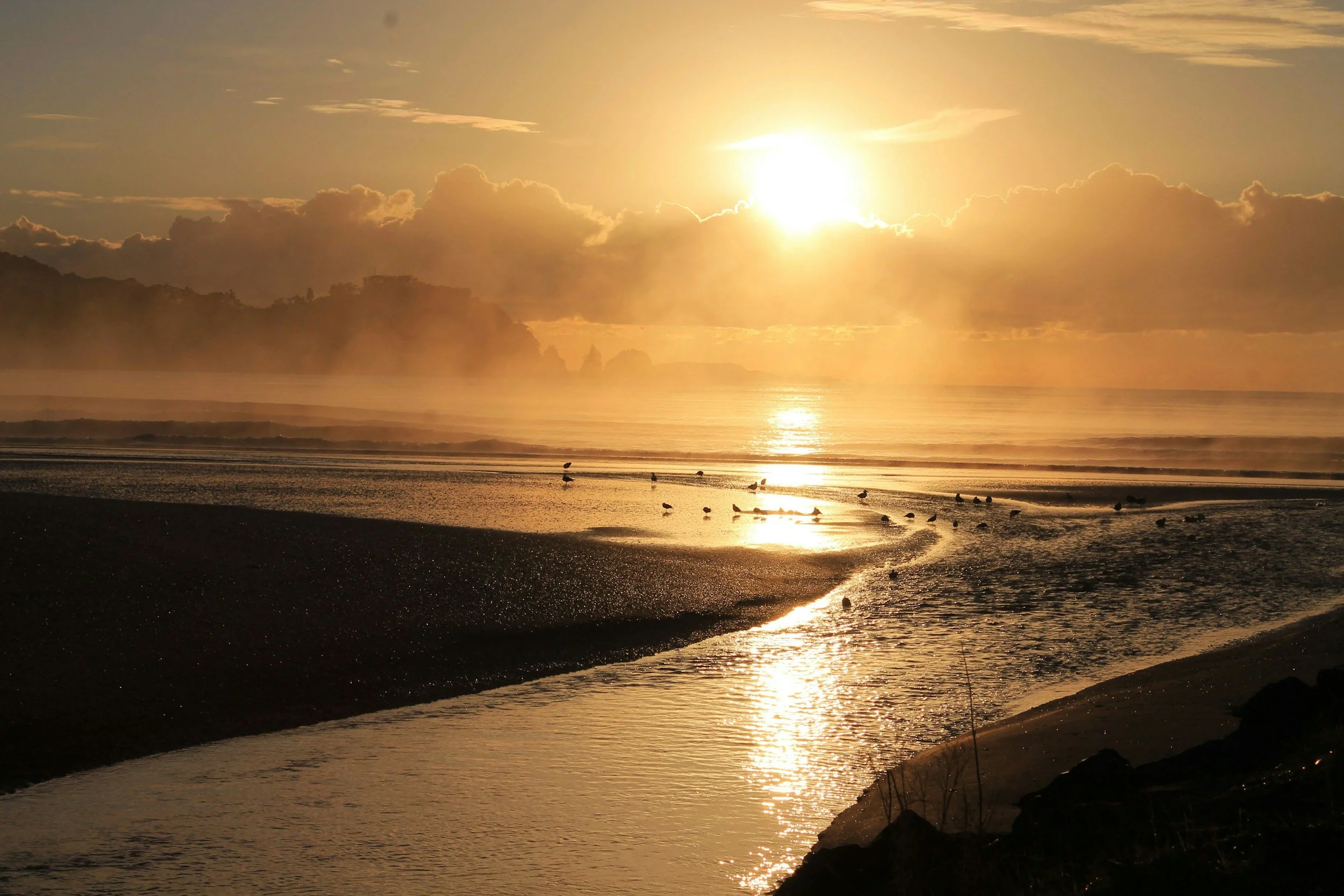 Sunset over a beach with waves gently crashing onto the shore, with a few seagulls standing by the water, silhouetted against the glowing sky and reflected in the wet sand.