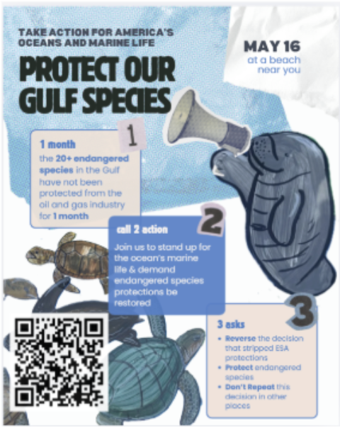 Rally for Gulf Wildlife - Galveston Island