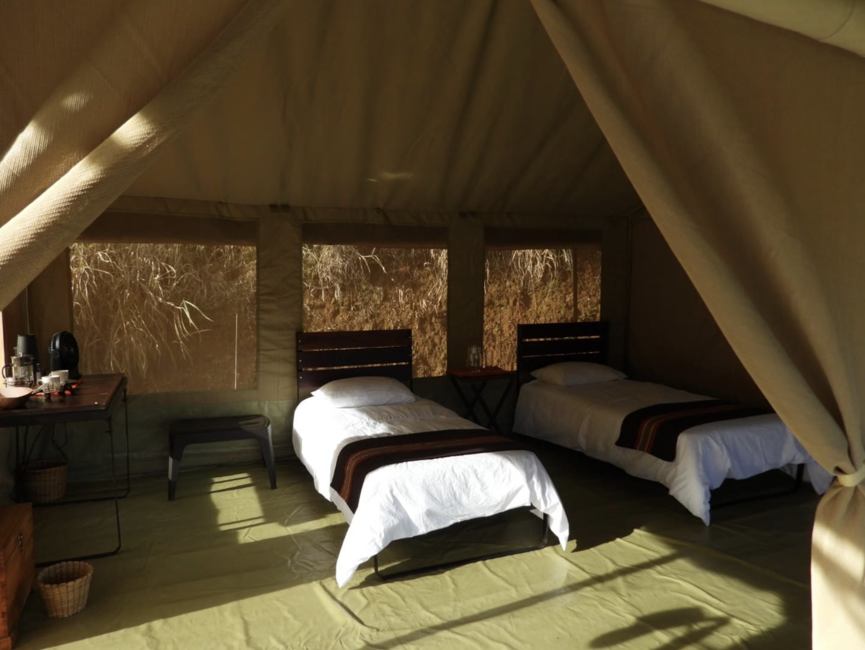 Two single beds inside a tent-style structure with earth-toned walls and a view of dry, brown foliage outside the windows.