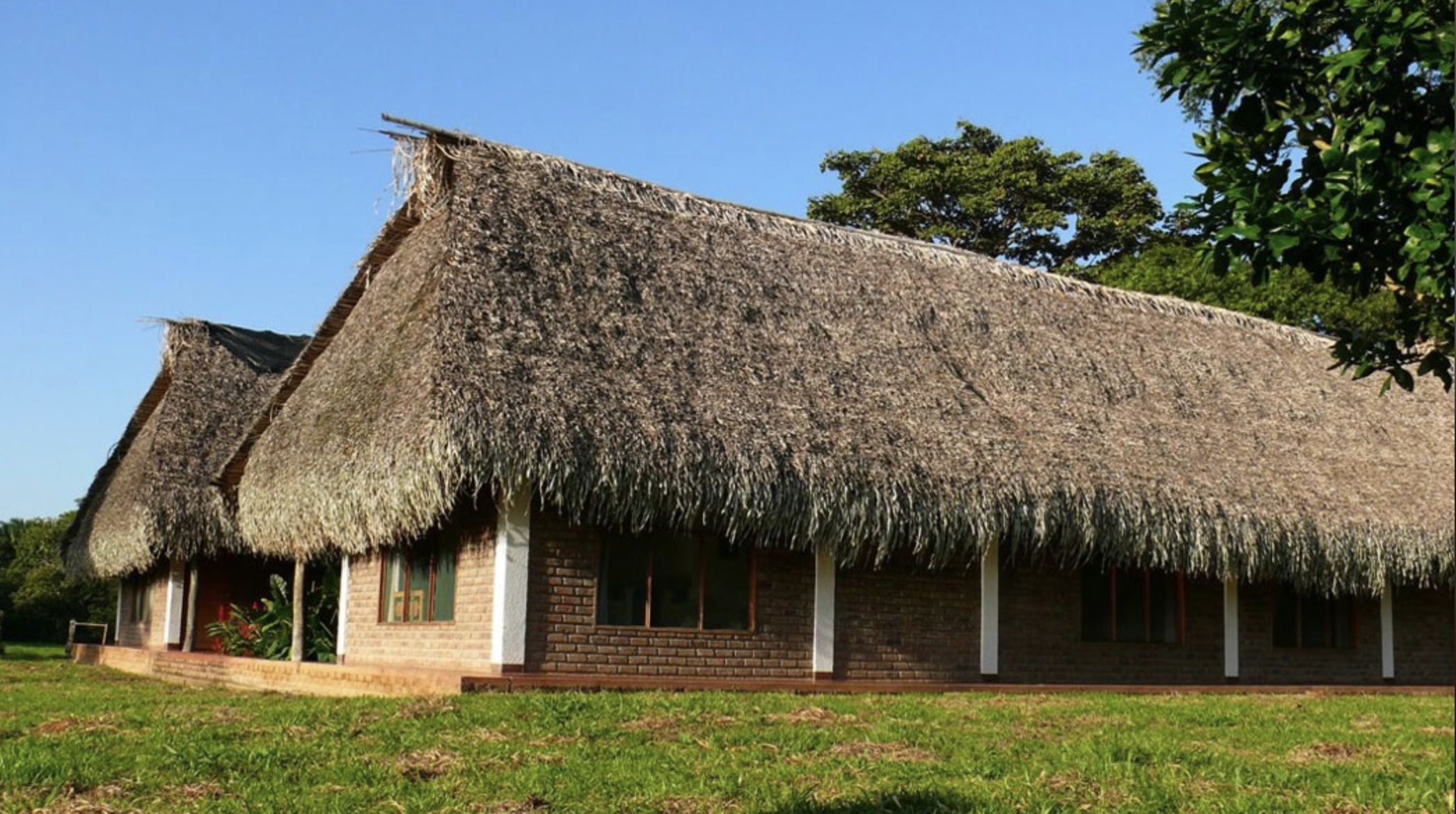 A traditional house with a thatched roof, brick walls, and green window frames, surrounded by green grass and trees, under a clear blue sky.