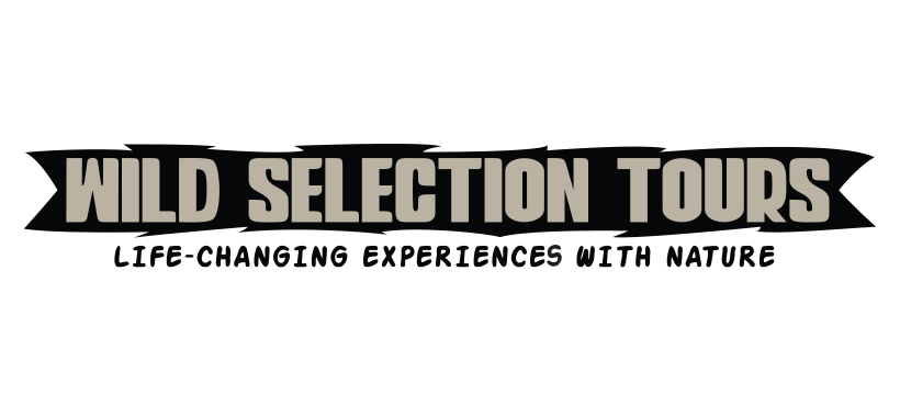 Wild Selection Tours logo with the tagline "Life-changing experiences with nature". Photo salaries and birding tours around the world.