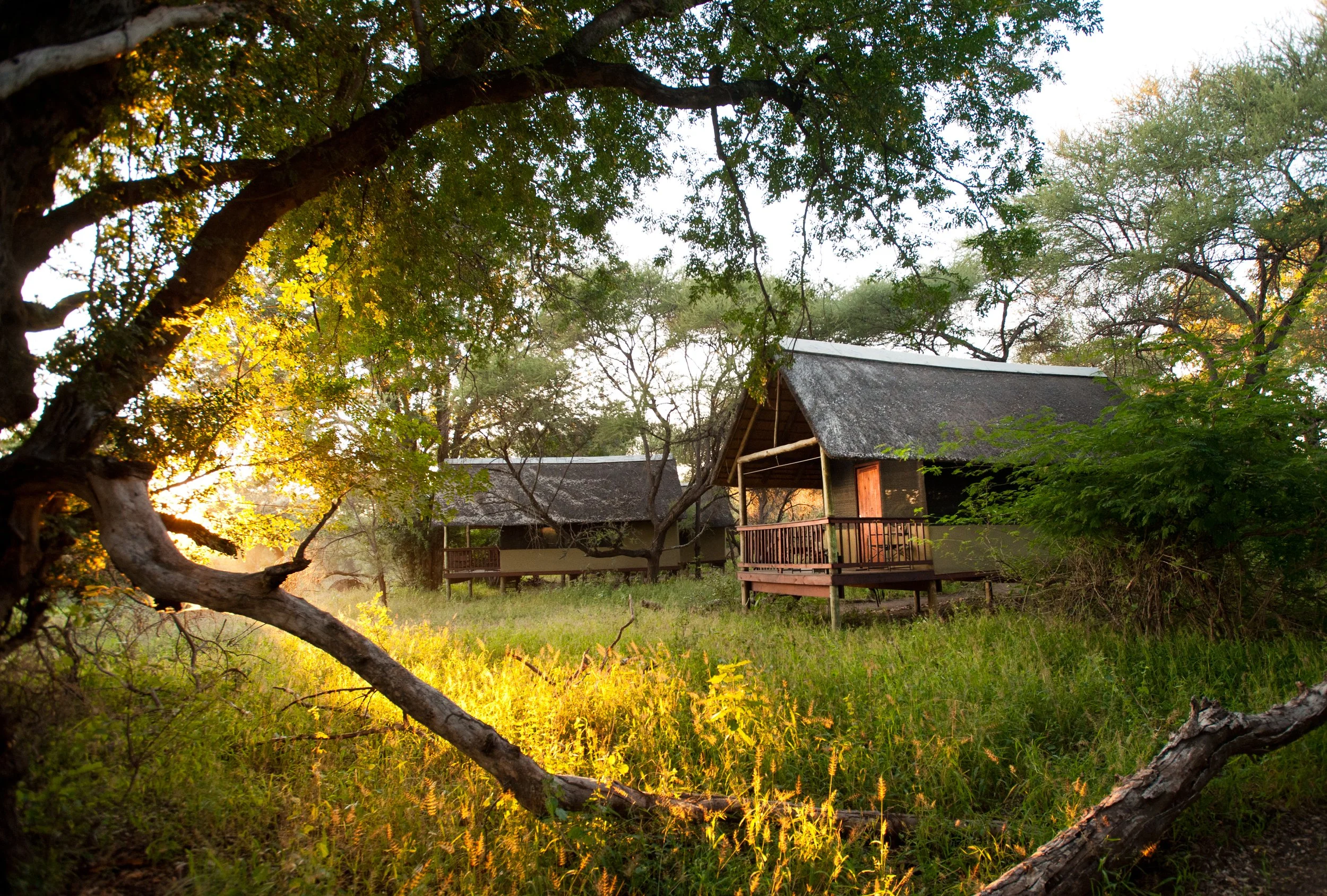 Two rustic cabins with thatched roofs in a wooded area, surrounded by green grass and trees, with warm sunlight filtering through the leaves.