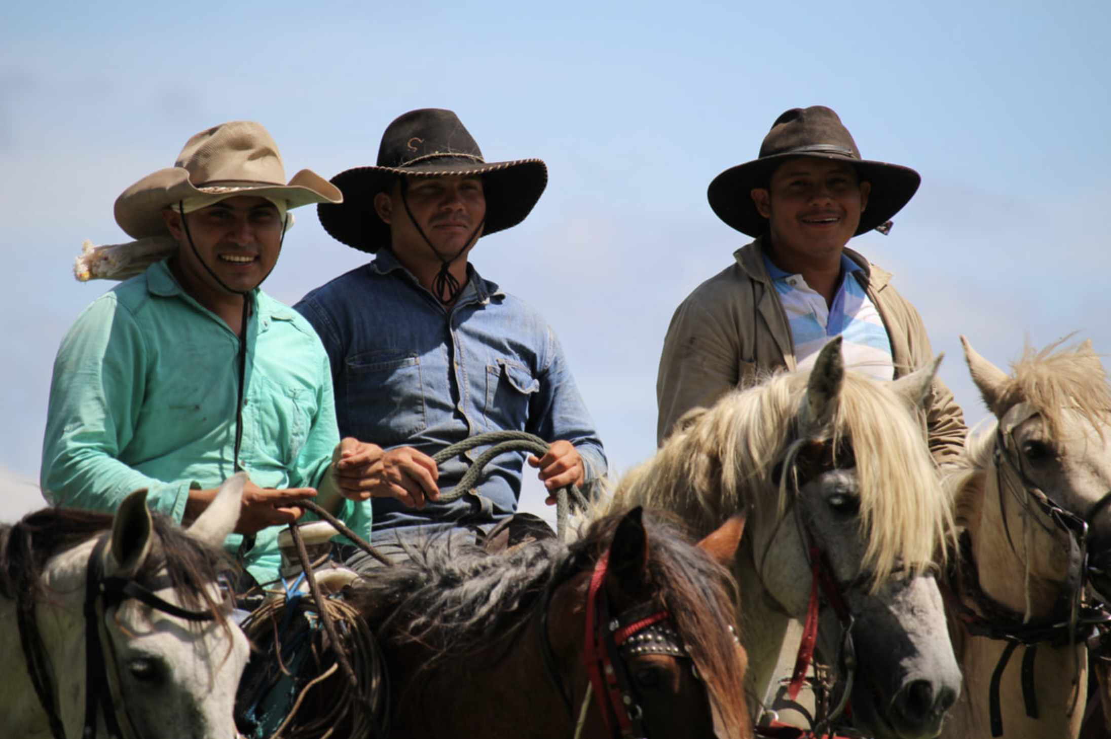 Three men riding horses outdoors under a blue sky, wearing cowboy hats and casual clothing.