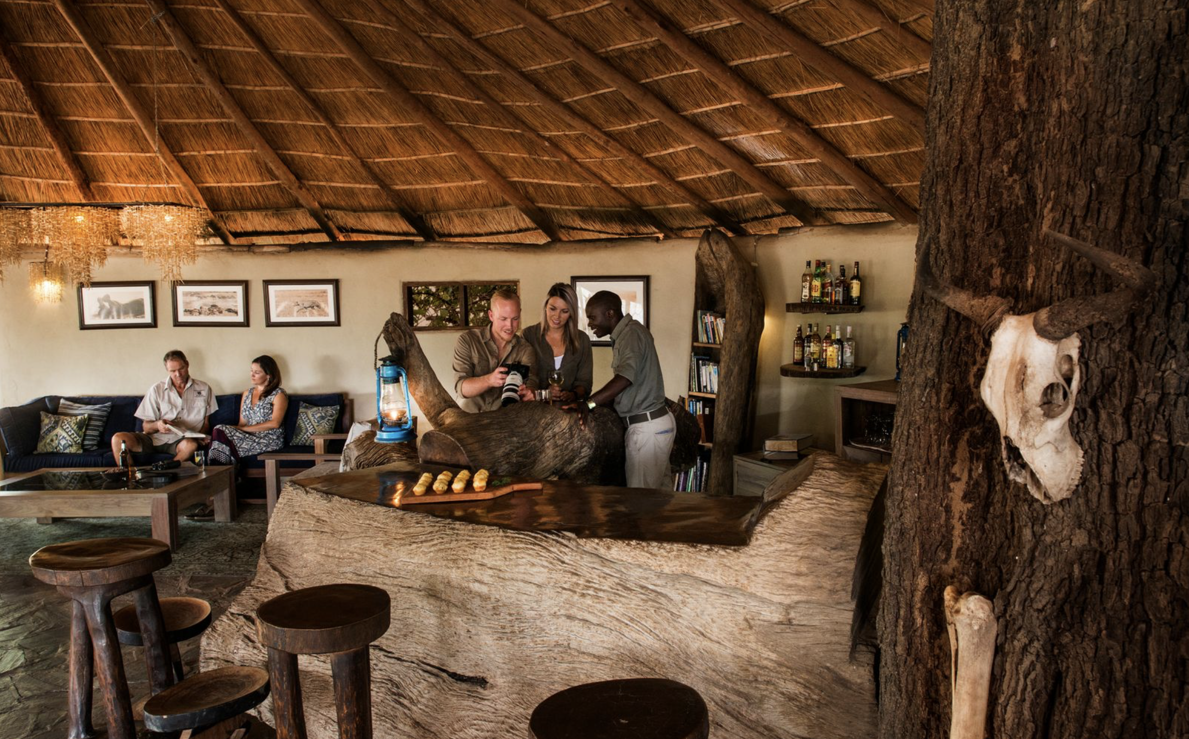 People socializing in a rustic lounge featuring a large wooden bar, a tree trunk with animal skull and bones, and framed pictures on the wall. Kaingo camp. Safari in South Luangwa national park with Wild Selection Tours.