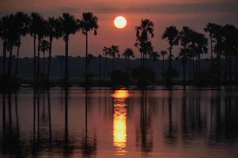 Sunset over a calm lake with silhouetted palm trees reflected in the water.