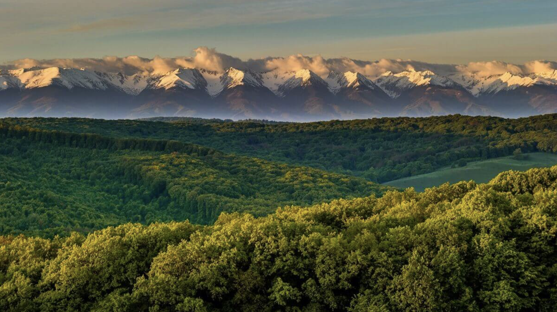 A landscape photo of a mountain range with snow-capped peaks in the background and lush green forests in the foreground, under a partly cloudy sky.