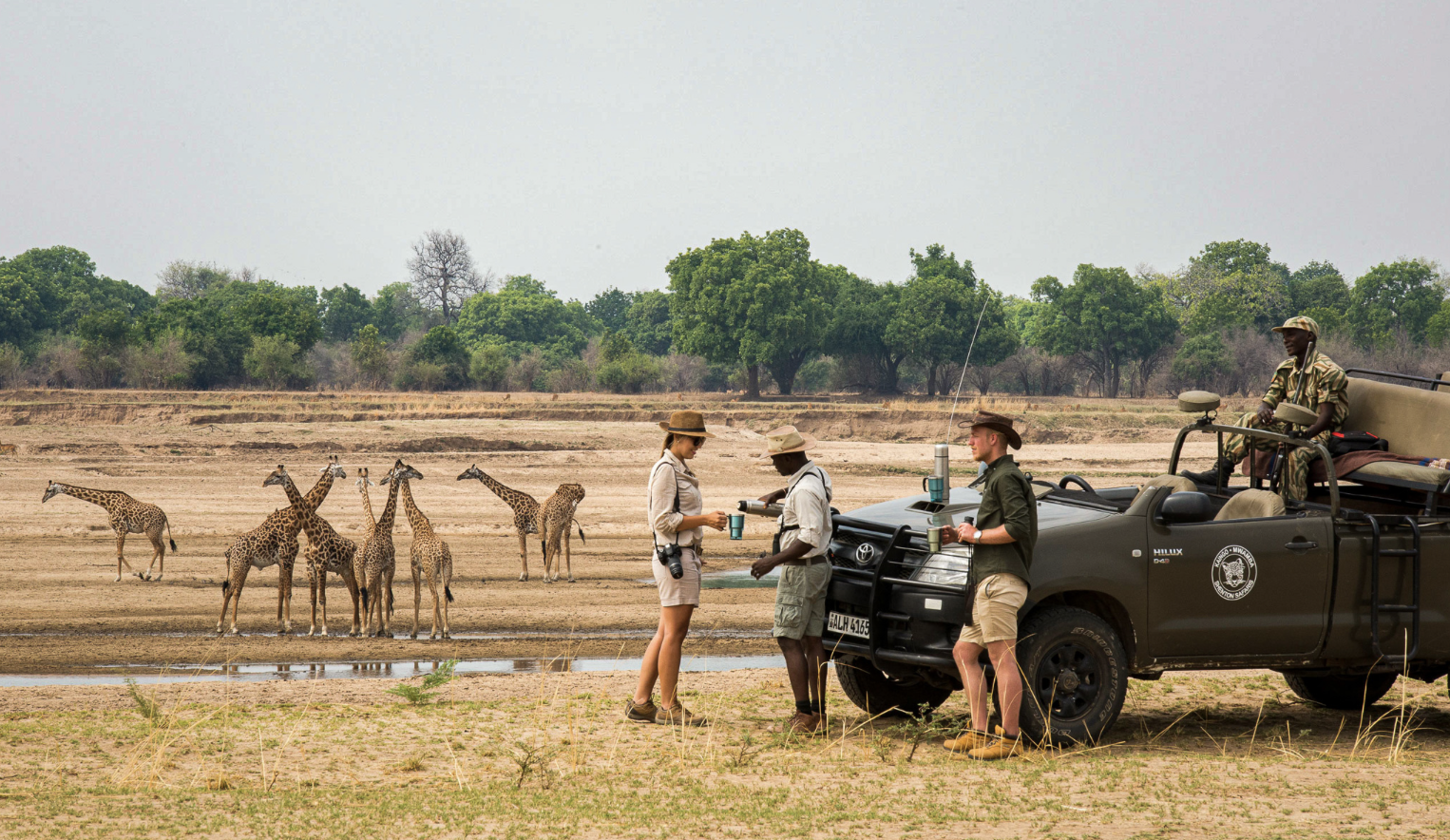 Group of people at a wildlife safari, with Thornicroft´s giraffes in the background and a safari vehicle parked nearby. Kaingo camp. Safari in South Luangwa national park with Wild Selection Tours.