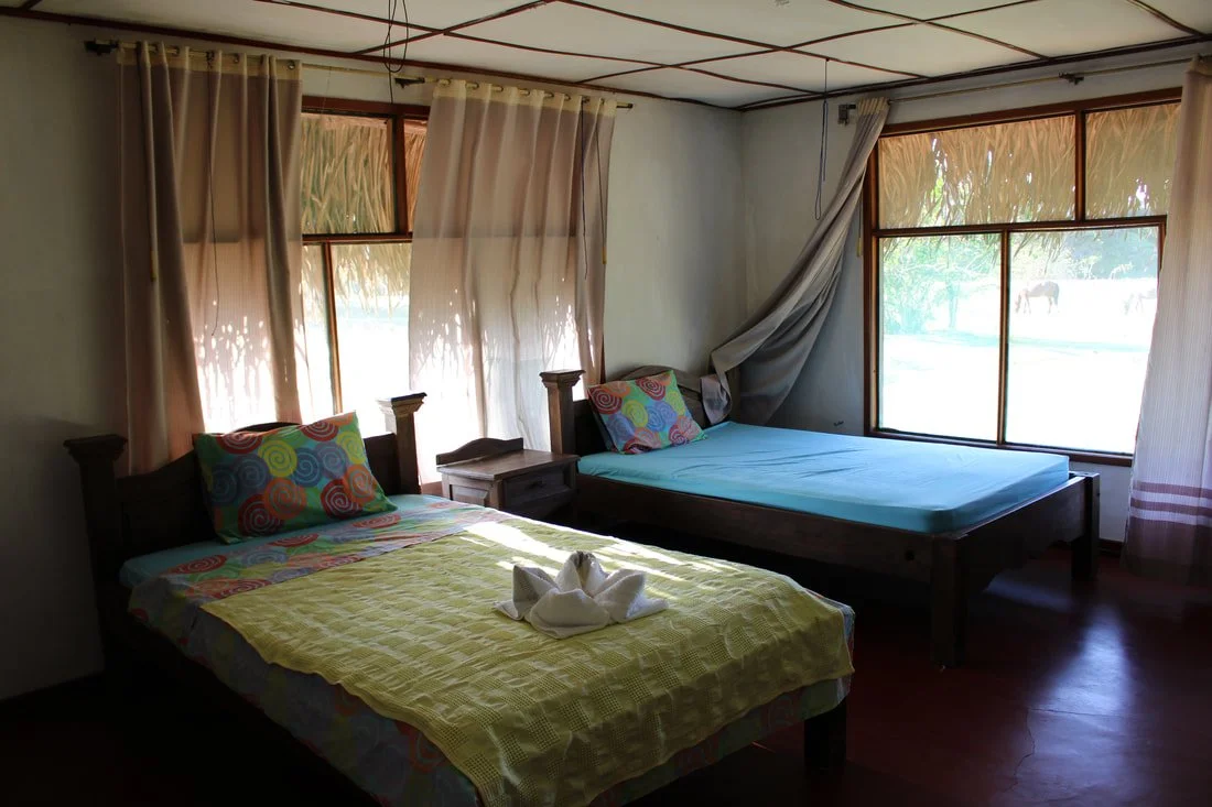 A room with two beds, colorful pillows, curtains, and large windows showing a sunny outdoor scene with trees and horses.