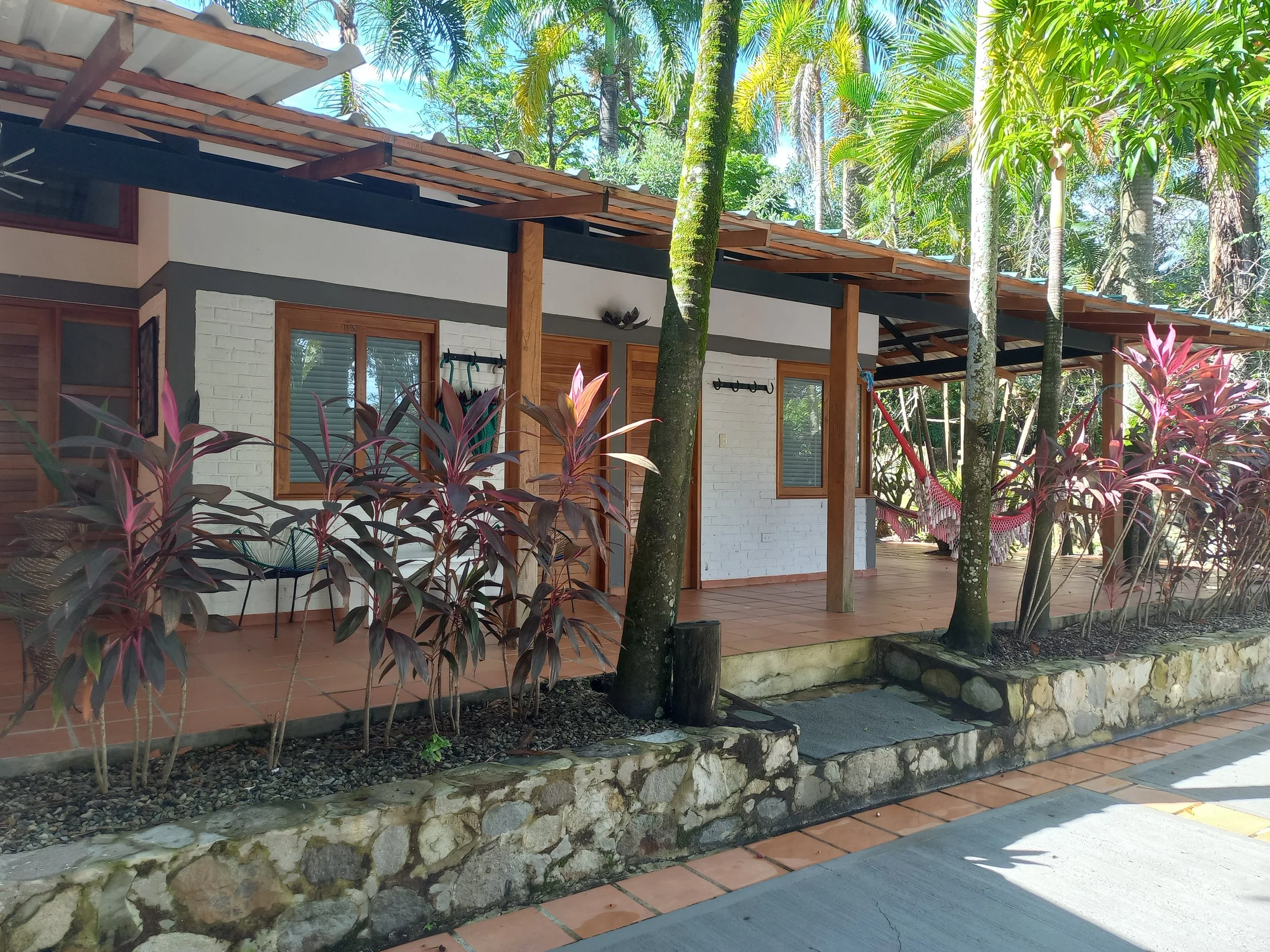 A house with a porch, surrounded by lush green trees and plants, including pink and purple foliage, with hammocks hanging on the porch.