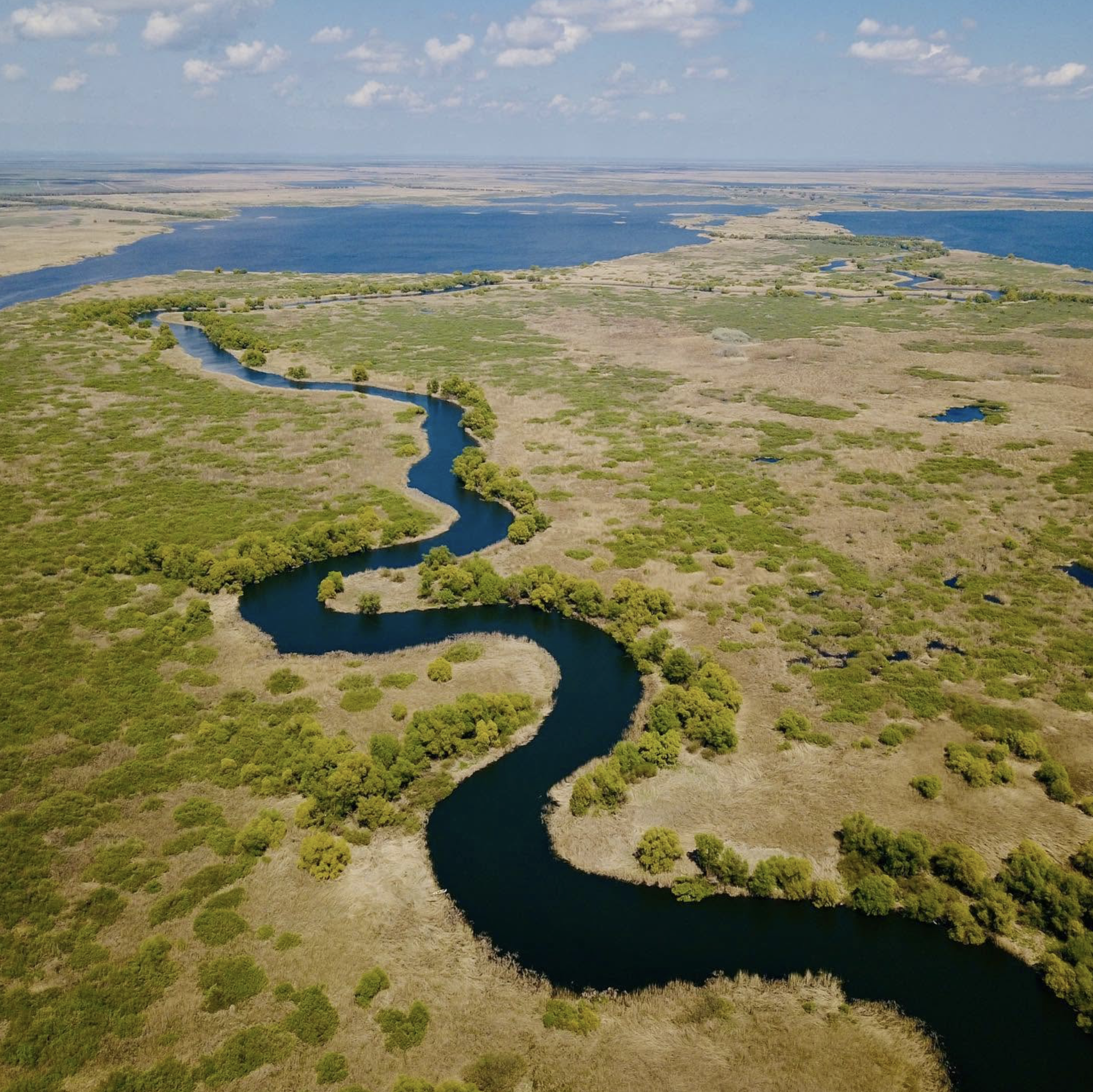 Aerial view of a winding river flowing through grassy plains with scattered bushes and trees under a partly cloudy sky.