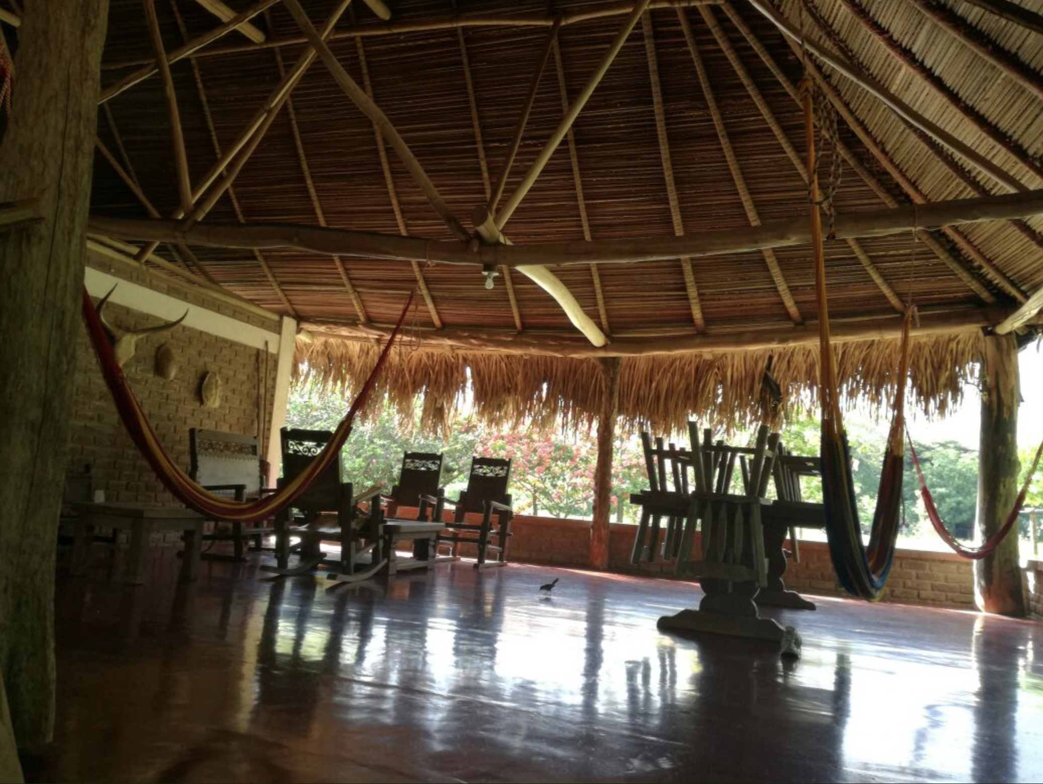 Open-air wooden lodge with bamboo and thatched roof, hammock, chairs, and trees visible outside