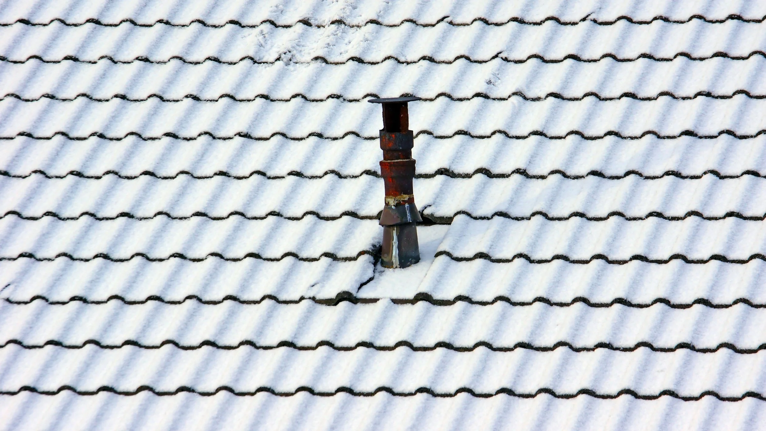 Roof Cleaning & Inspections 