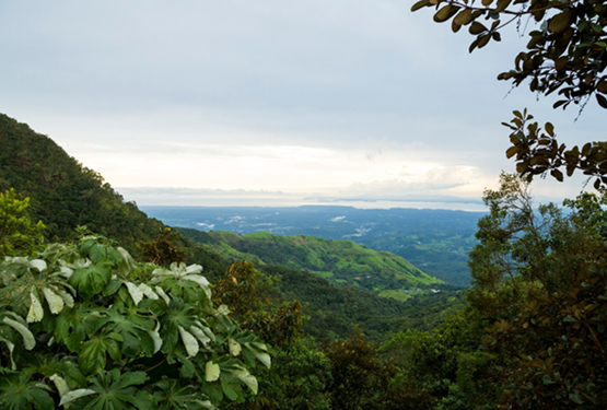 Costa Rica Cloud Forest Retreat