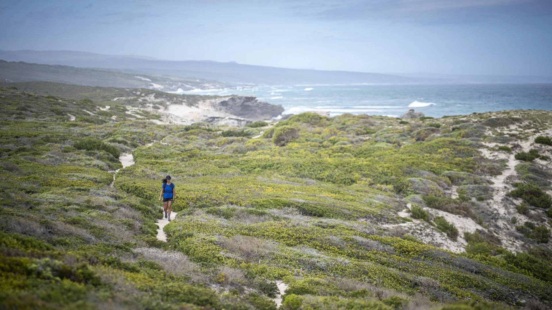 DeHoop-Atmosphere-07.jpg