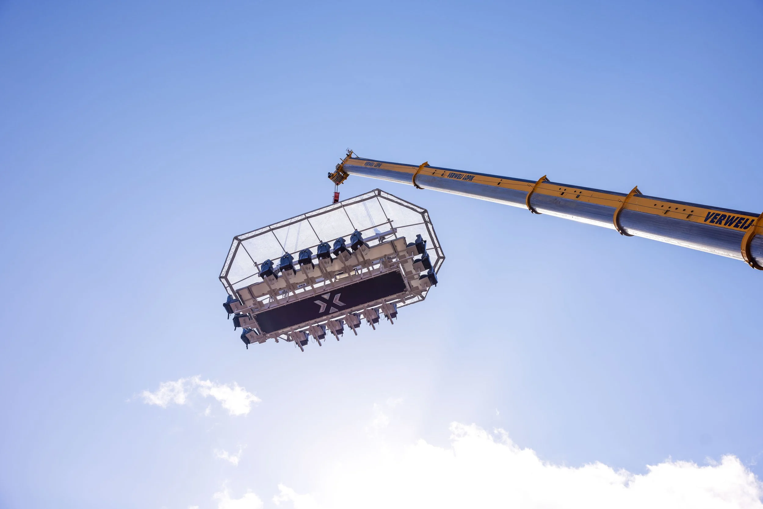 More Than Just Birds