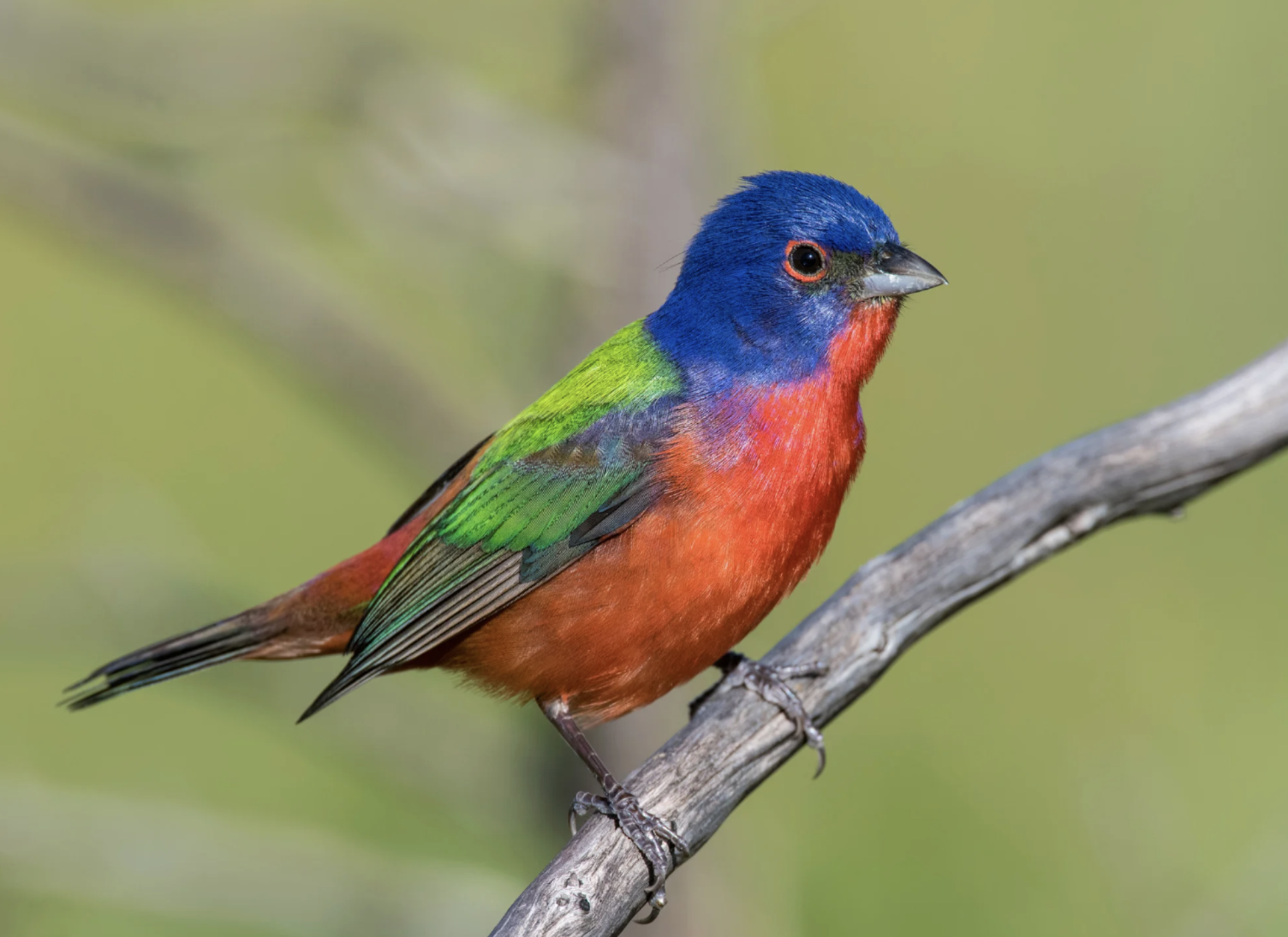 Screenshot 2026-01-14 at 7.27.12 AM.png (Copy)