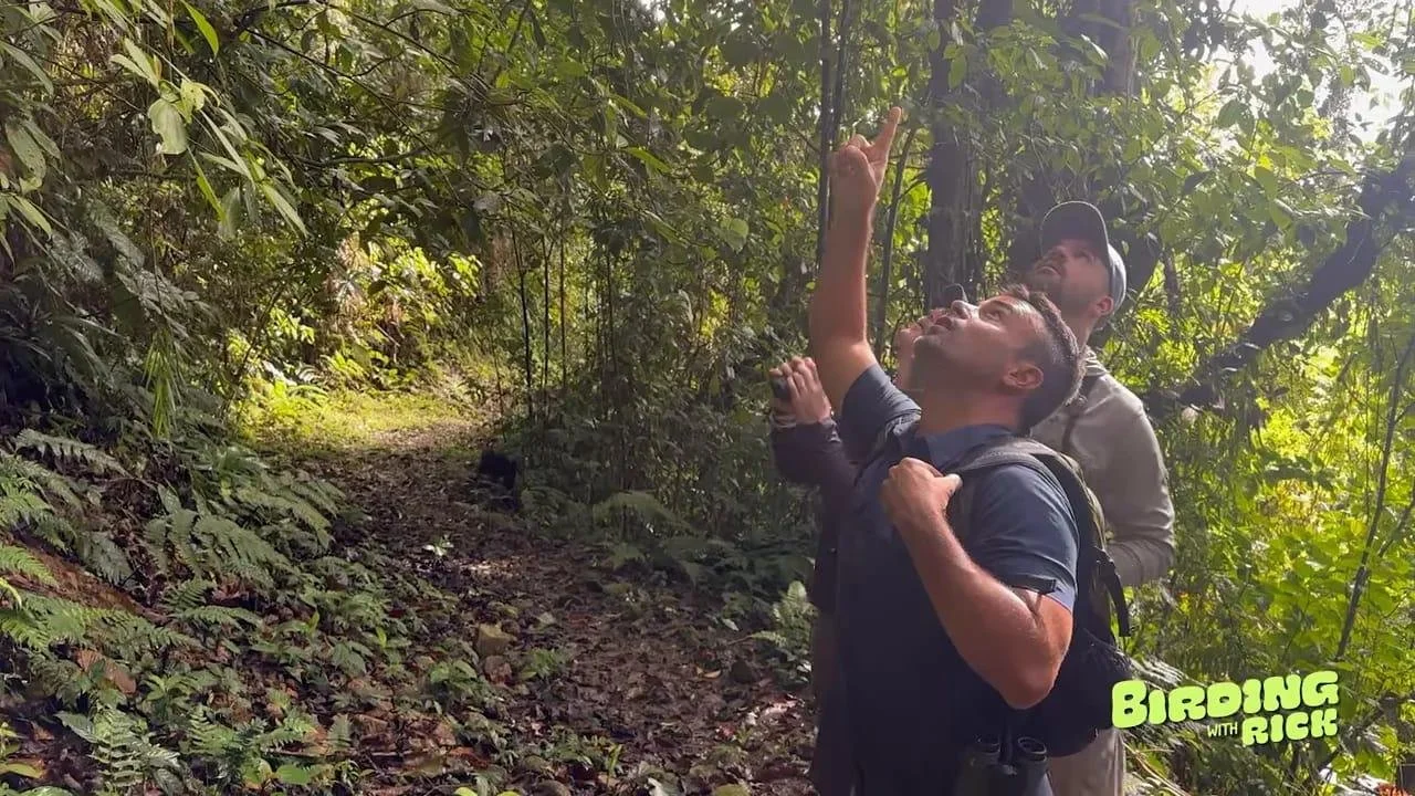 costa-rica-travel-with-guides