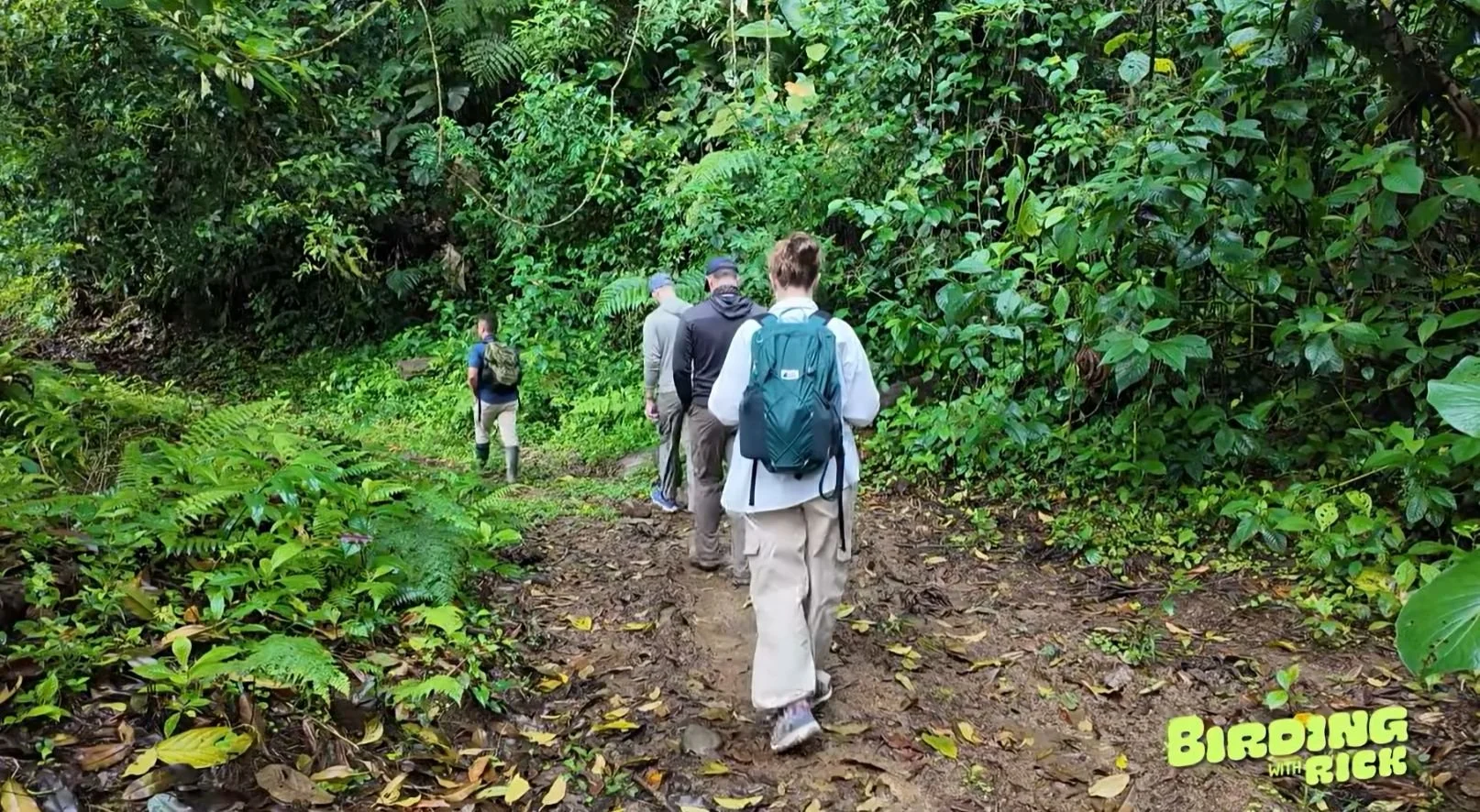 costa-rica-rainforest-trips