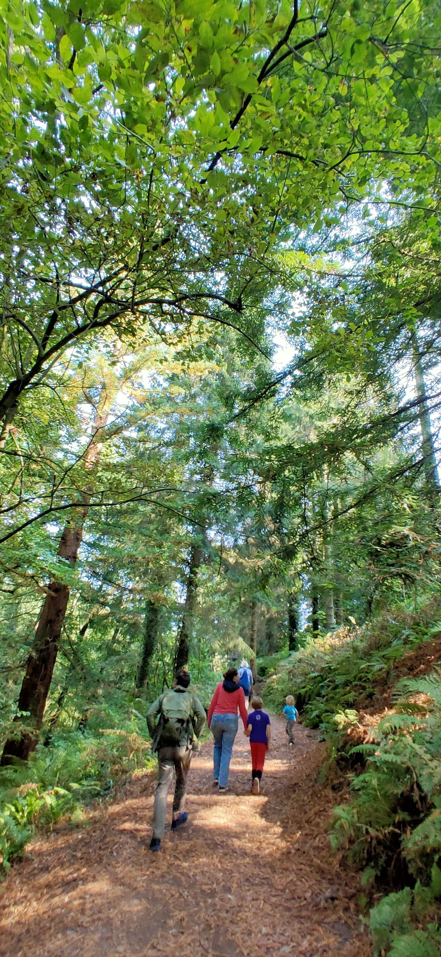 IMG20200920121217.jpg