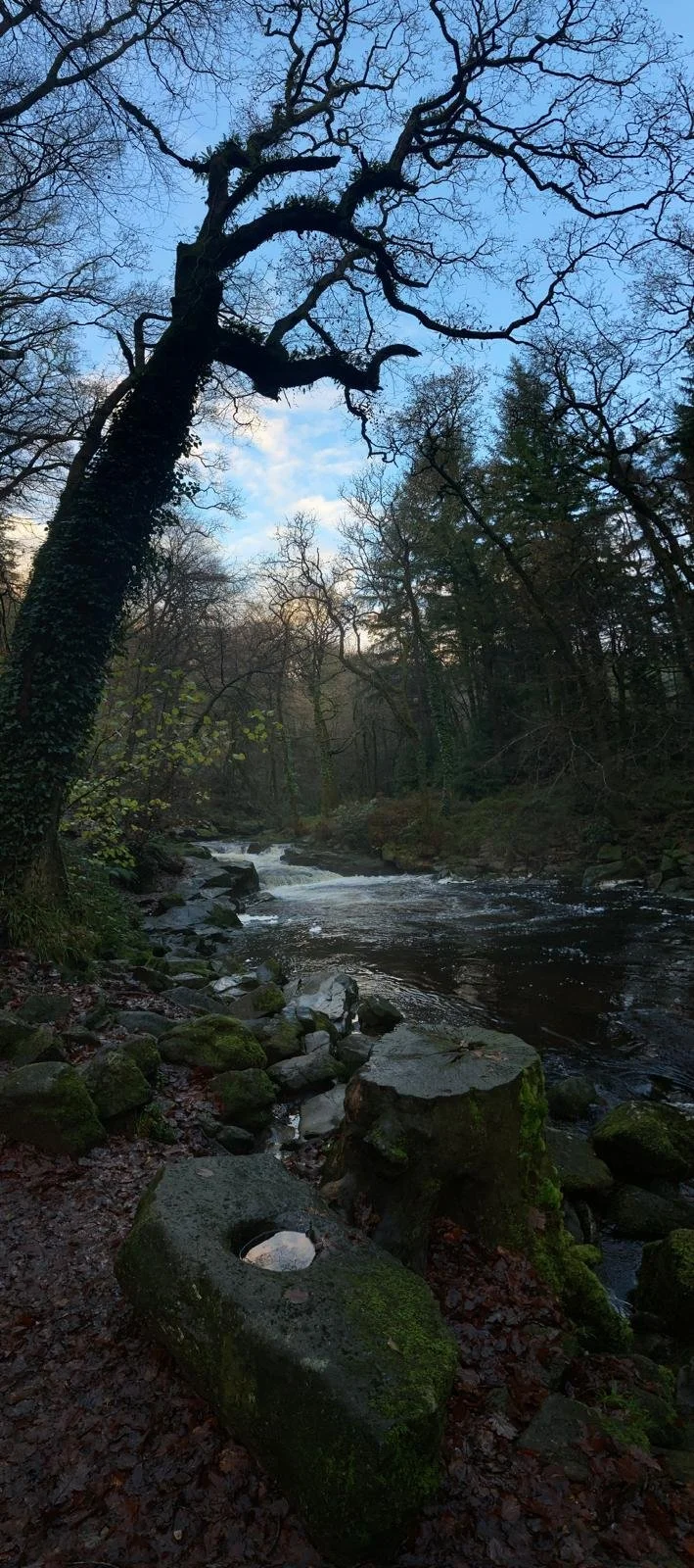 Photo Credit : Nadine Dommett
