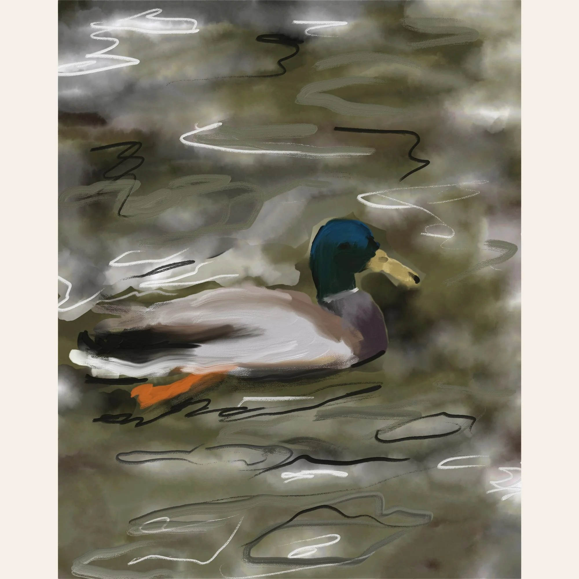 Duck, Duck...