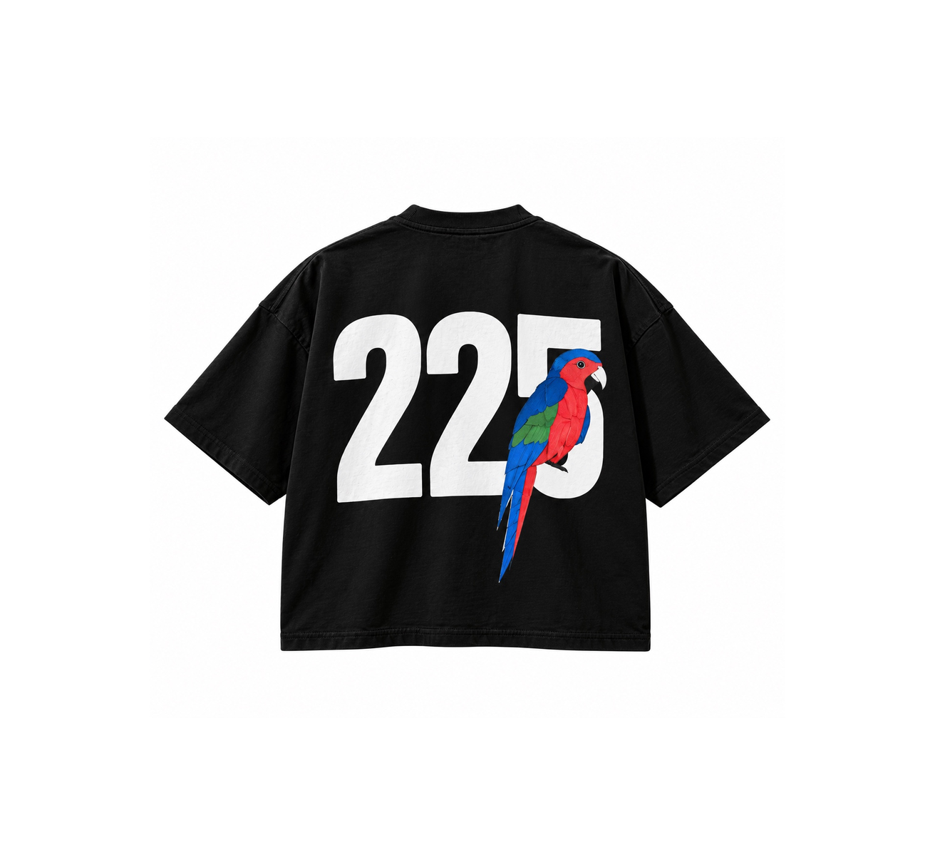225 X HAITI TEE