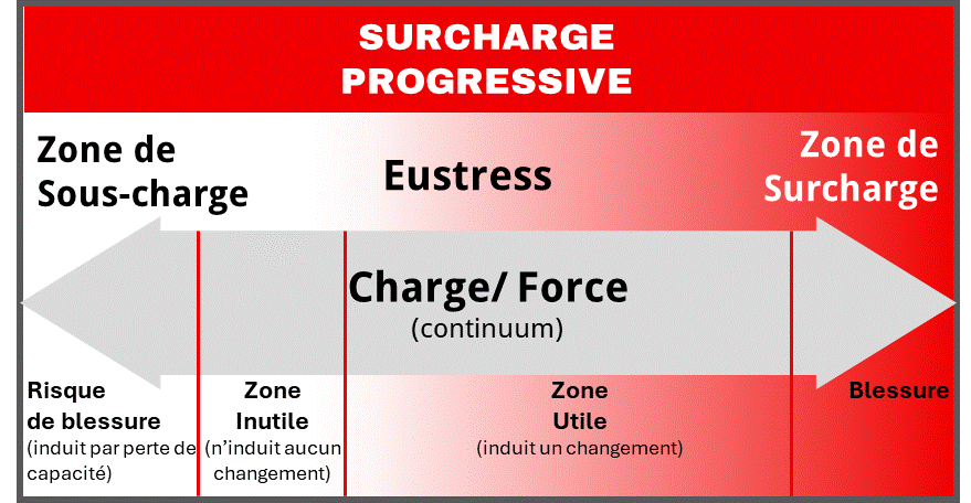 Diagramme montrant une progression continue de surcharge, divisée en zones de sous-charge, d'utilité, et de surcharge, avec des risques de blessure et de blessure.