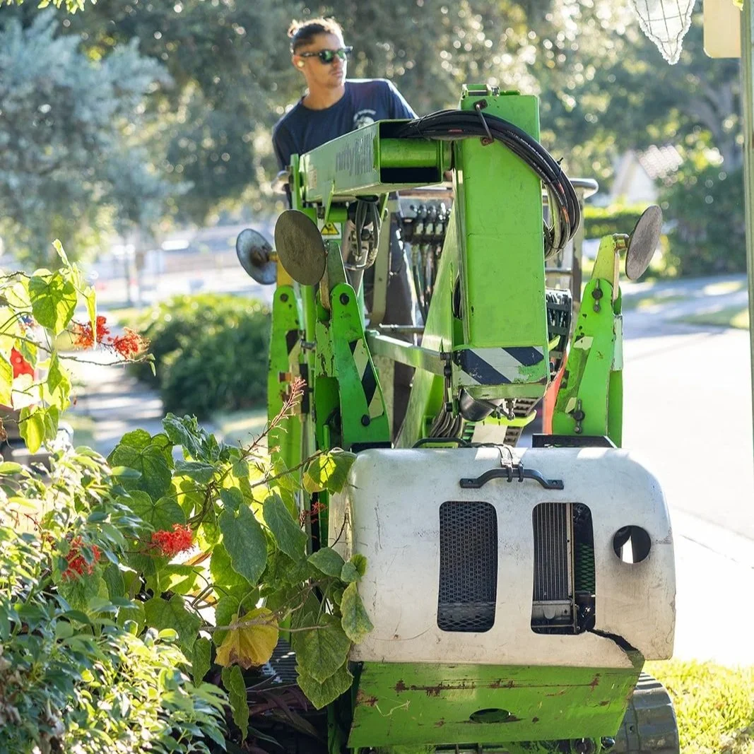 Regular Tree Trimming: The Simple Habit for Safer Yards